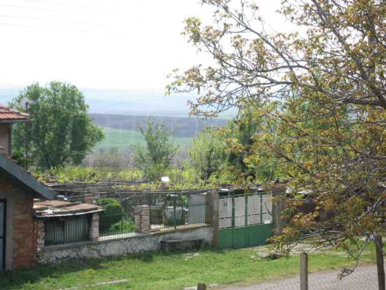 Gallery Picture 21