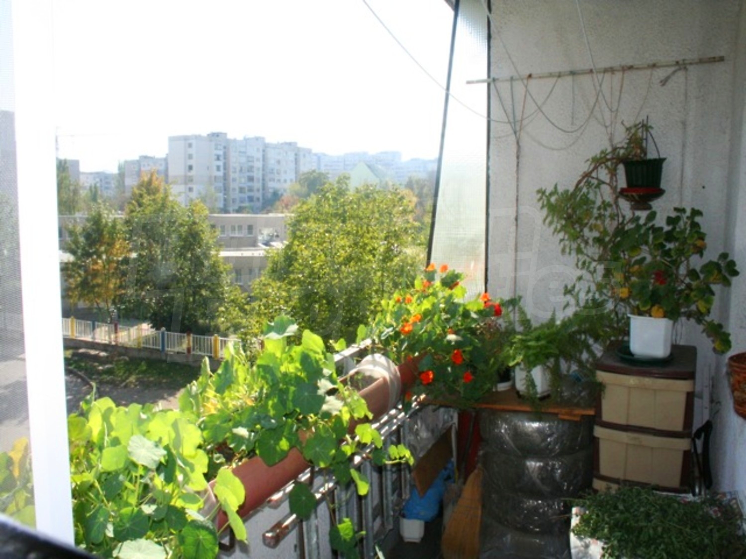 Gallery Picture 16