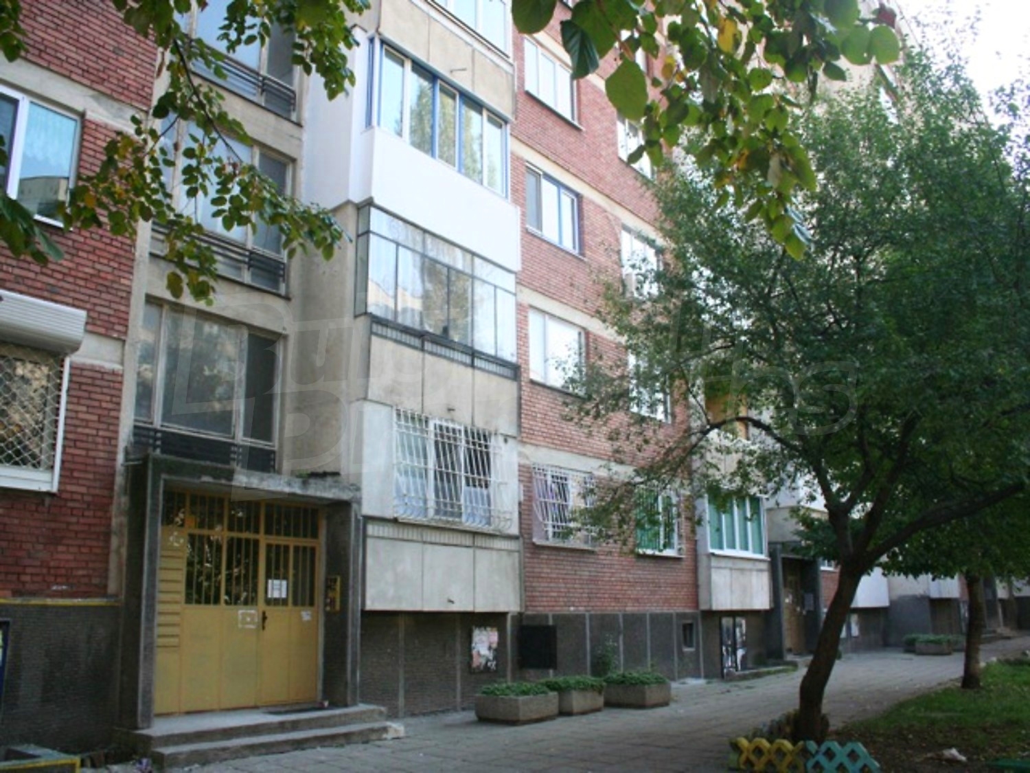 Gallery Picture 18