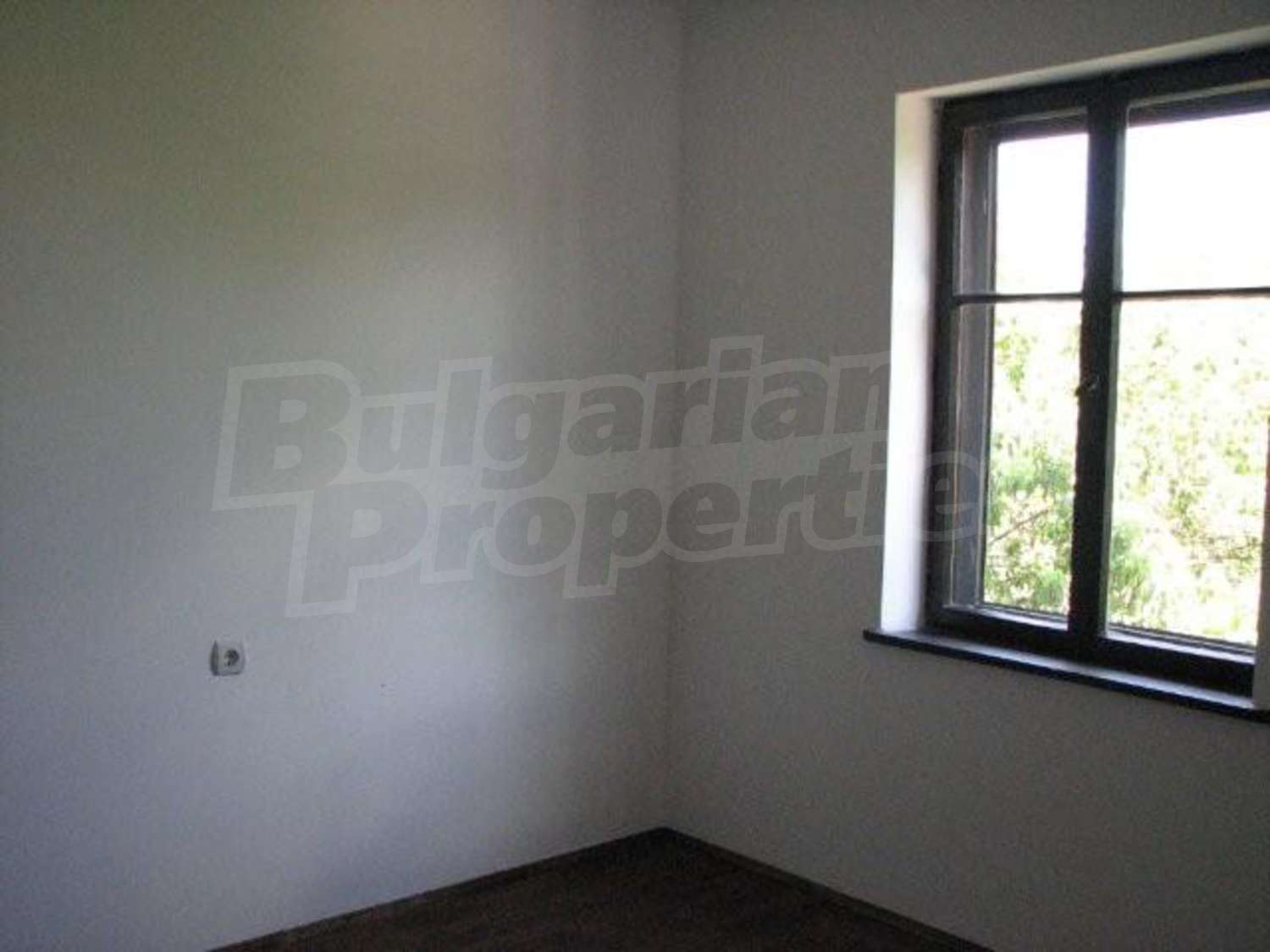 Gallery Picture 19