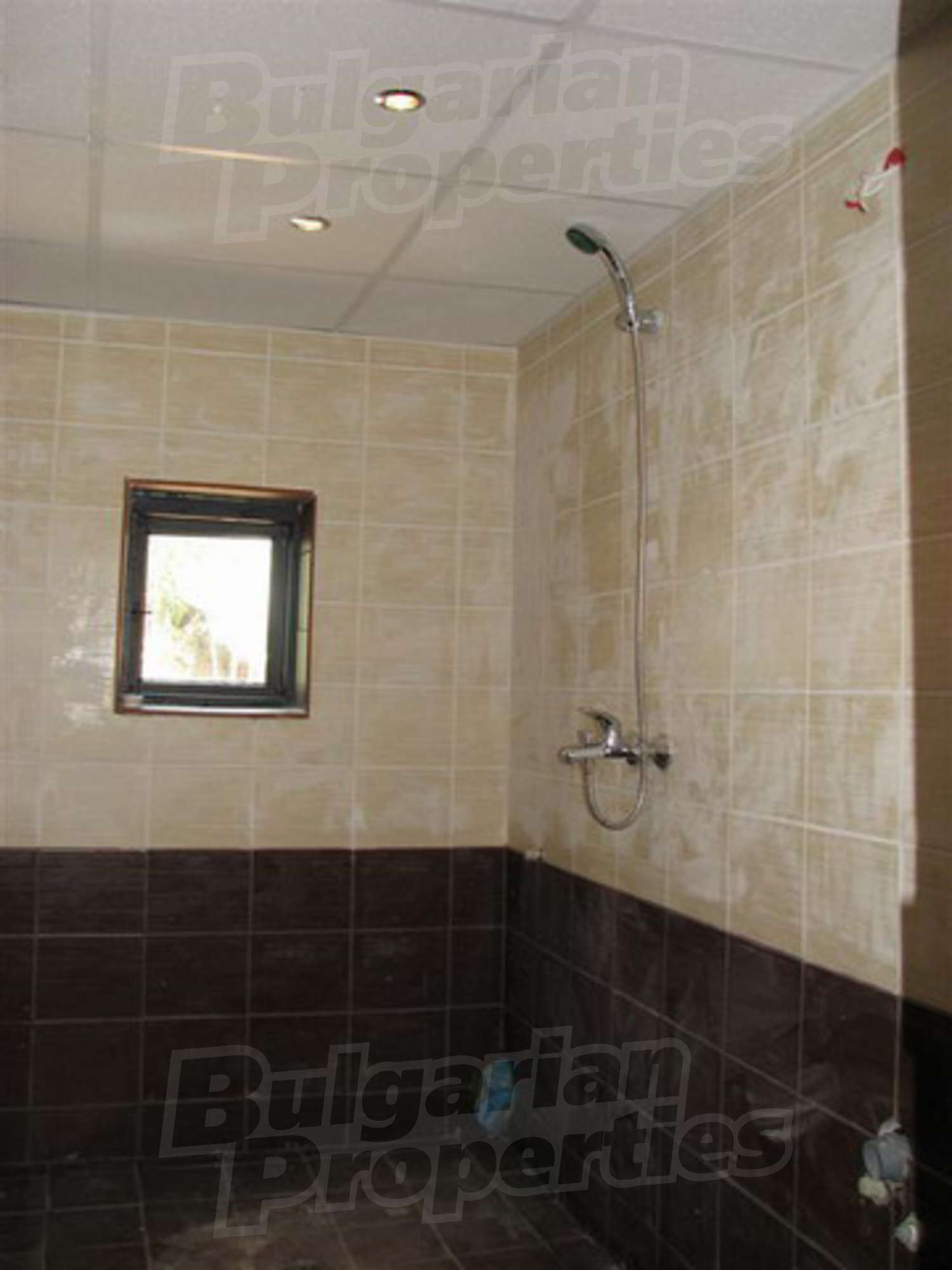 Gallery Picture 7