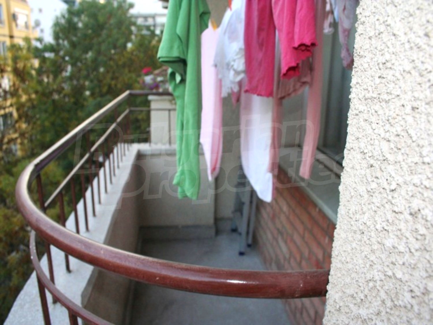 Gallery Picture 14