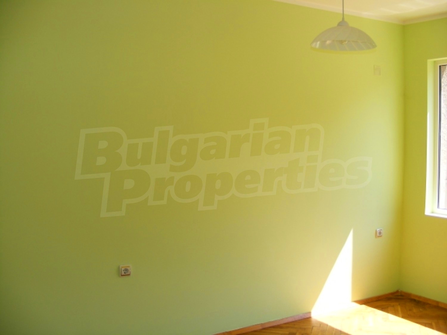 Gallery Picture 10