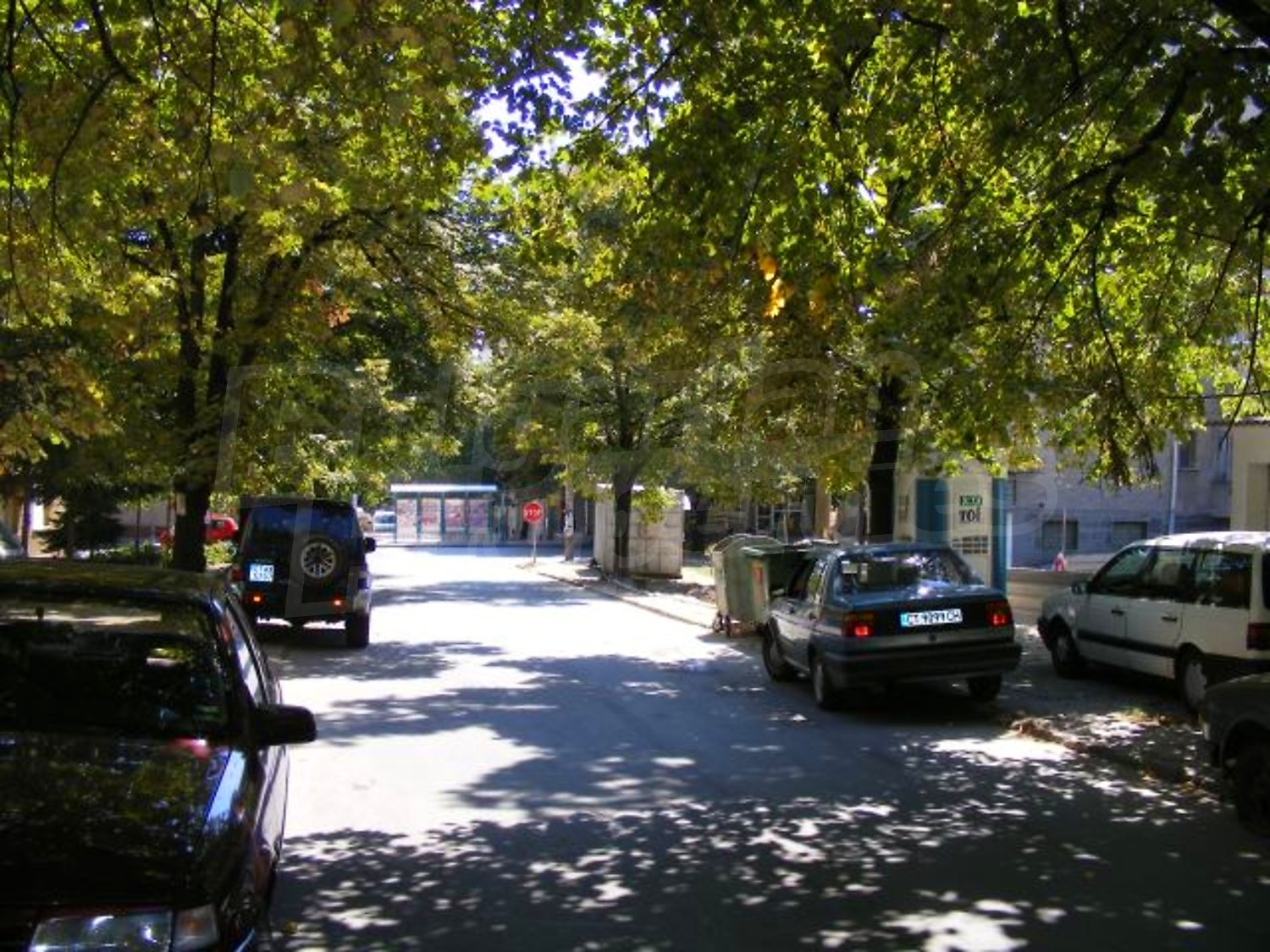 Gallery Picture 19