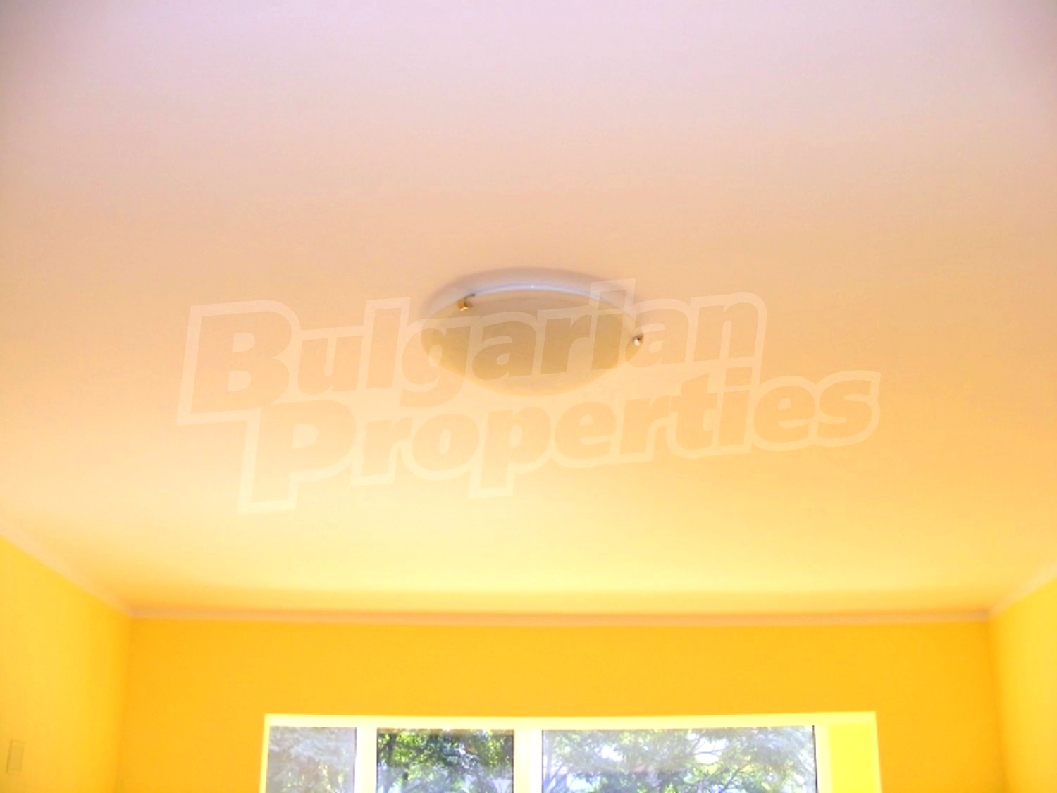 Gallery Picture 3