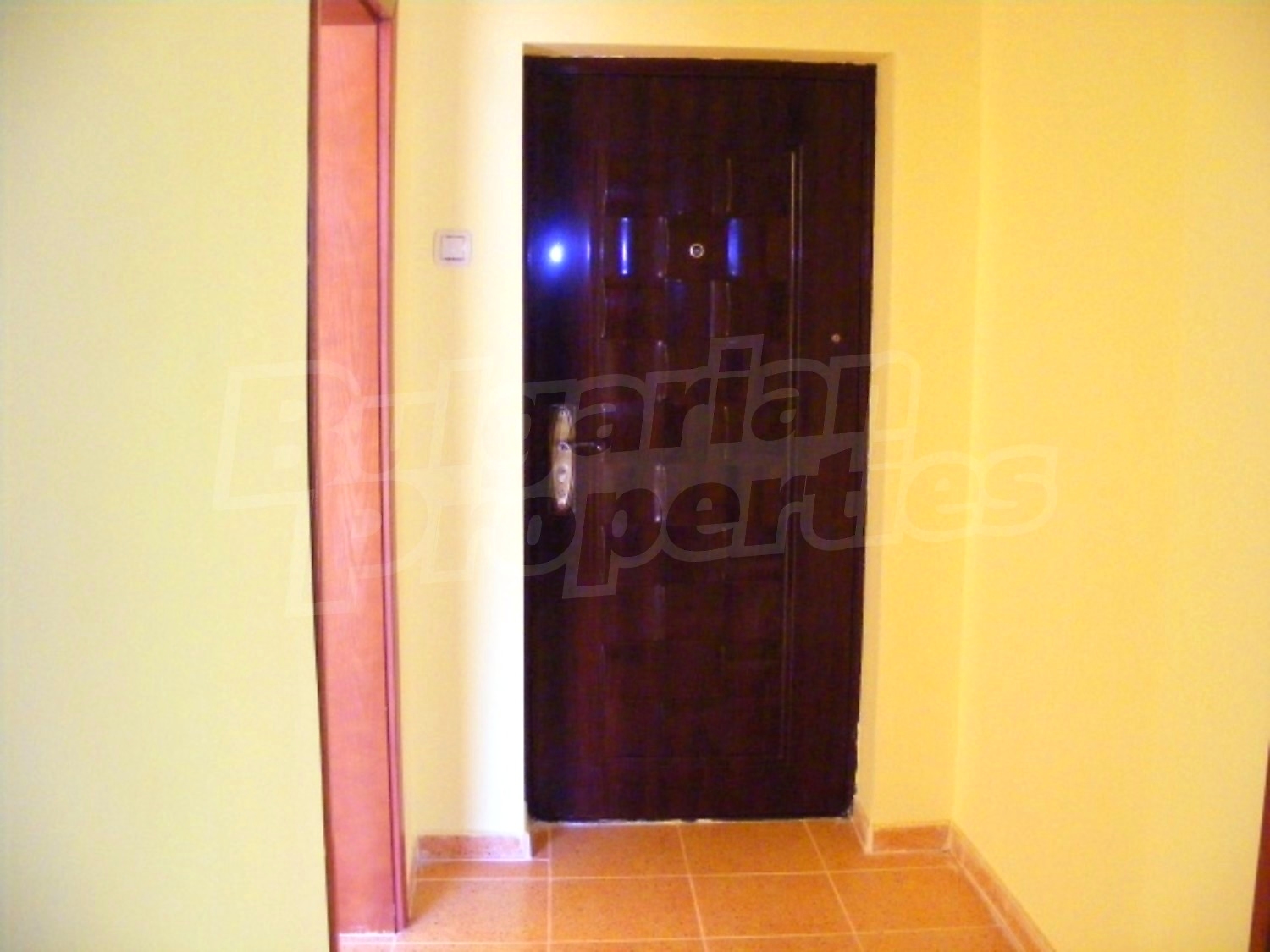 Gallery Picture 9
