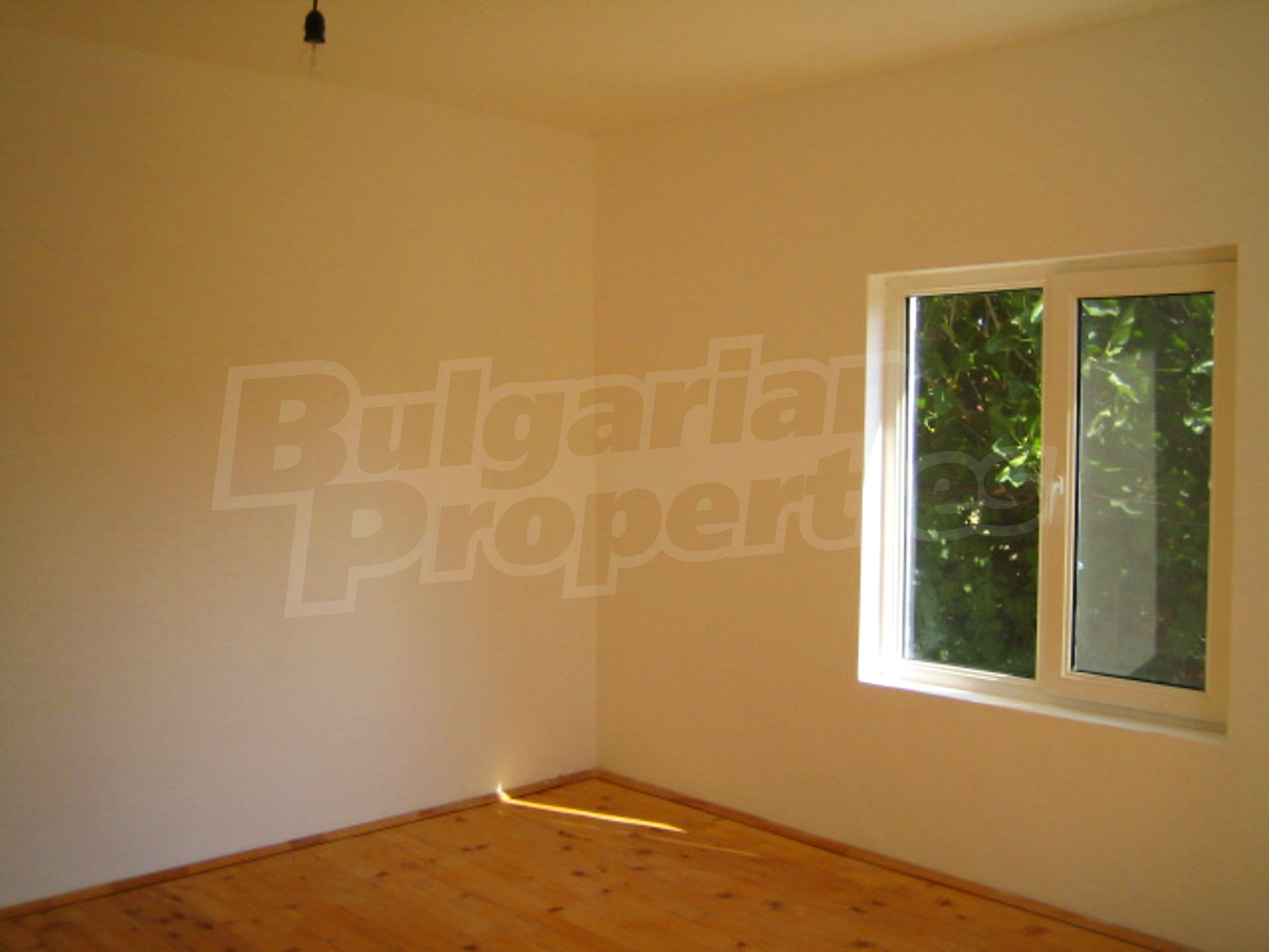 Gallery Picture 11
