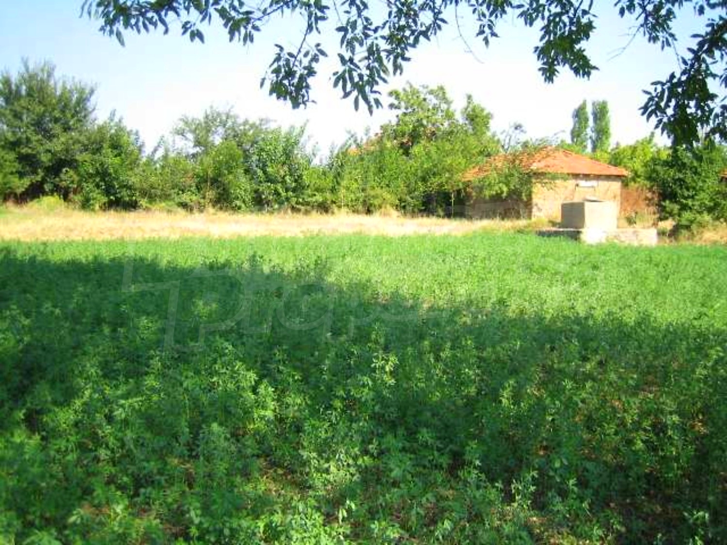 Gallery Picture 15