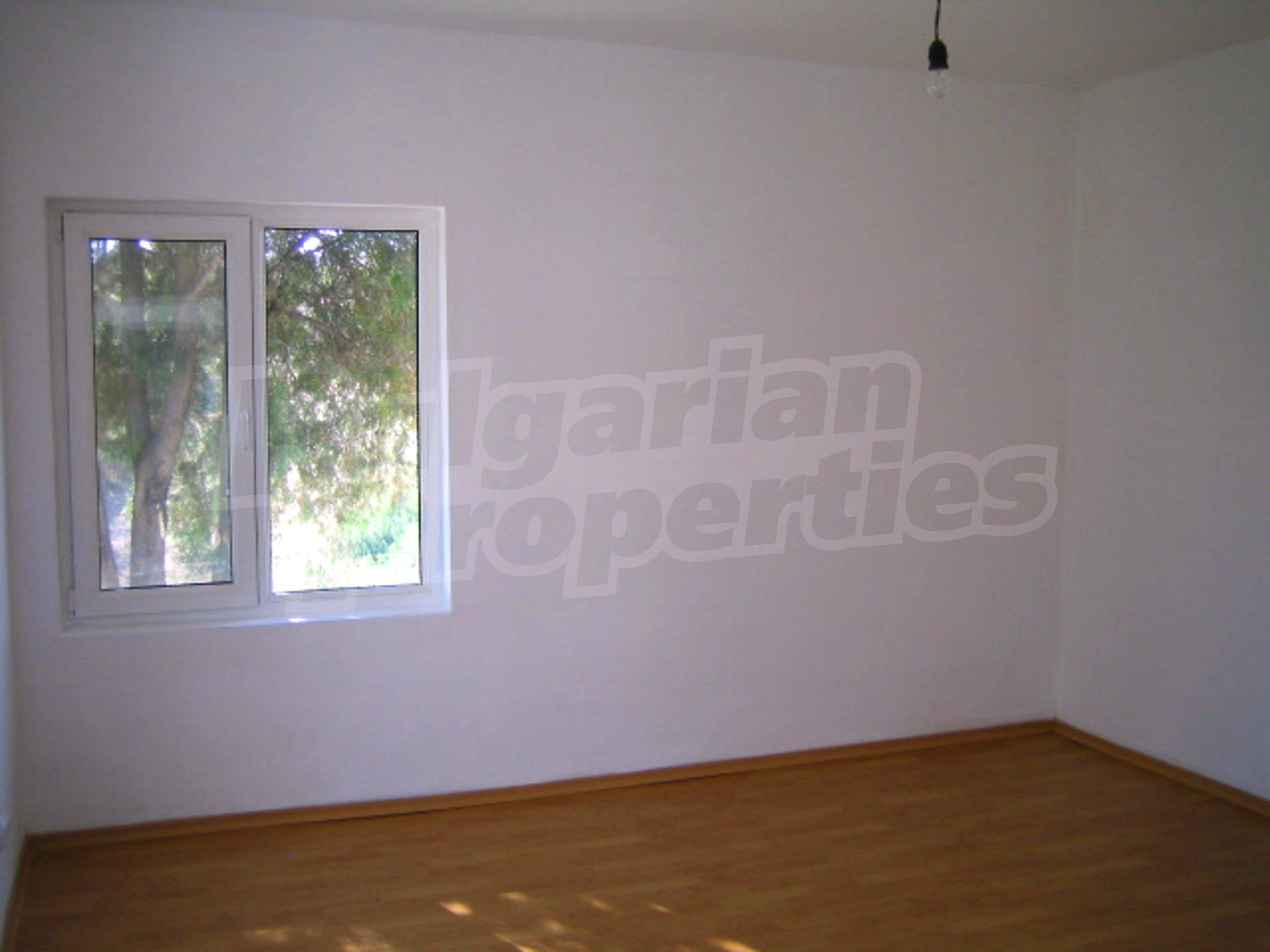 Gallery Picture 6