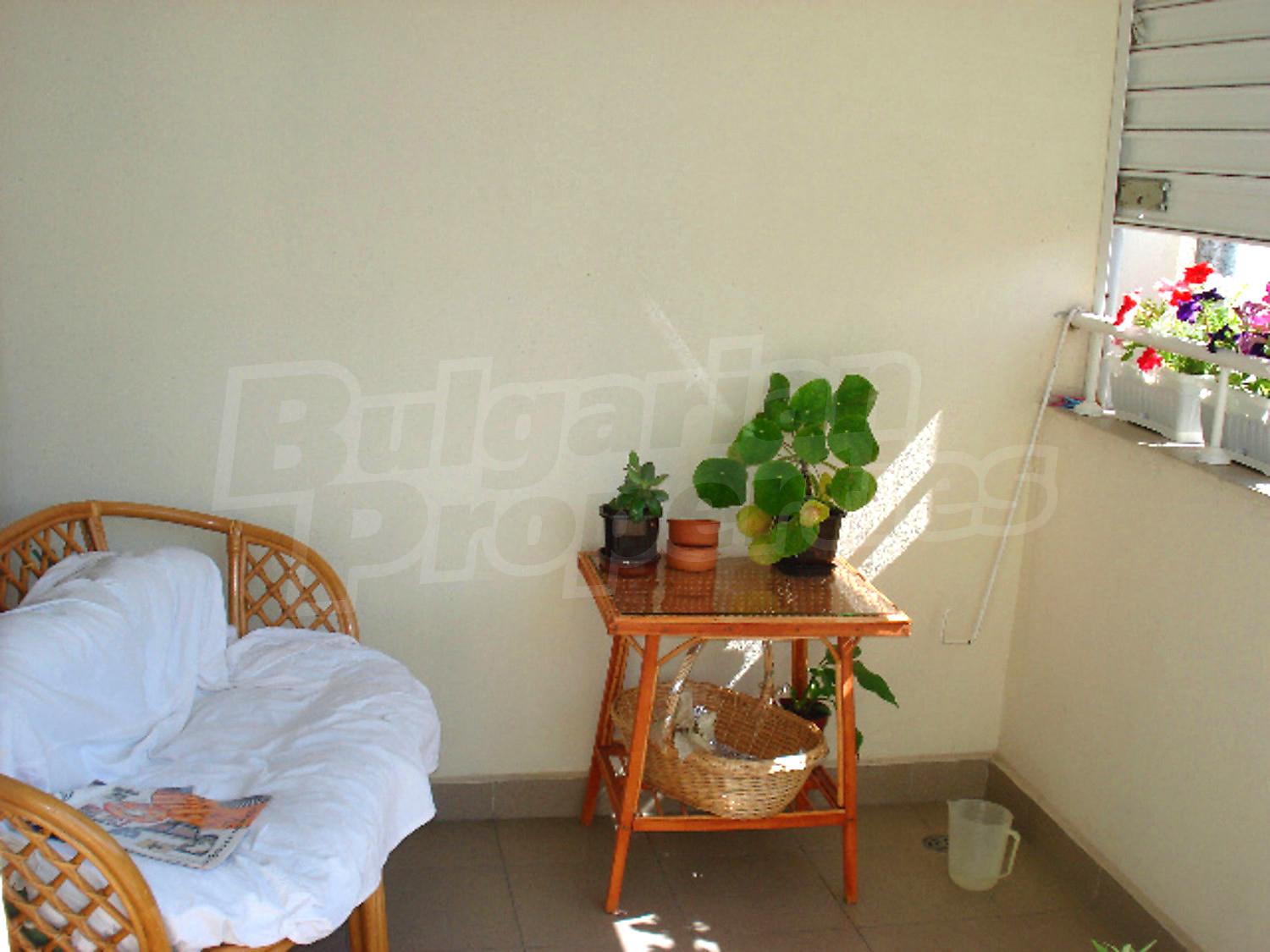 Gallery Picture 17