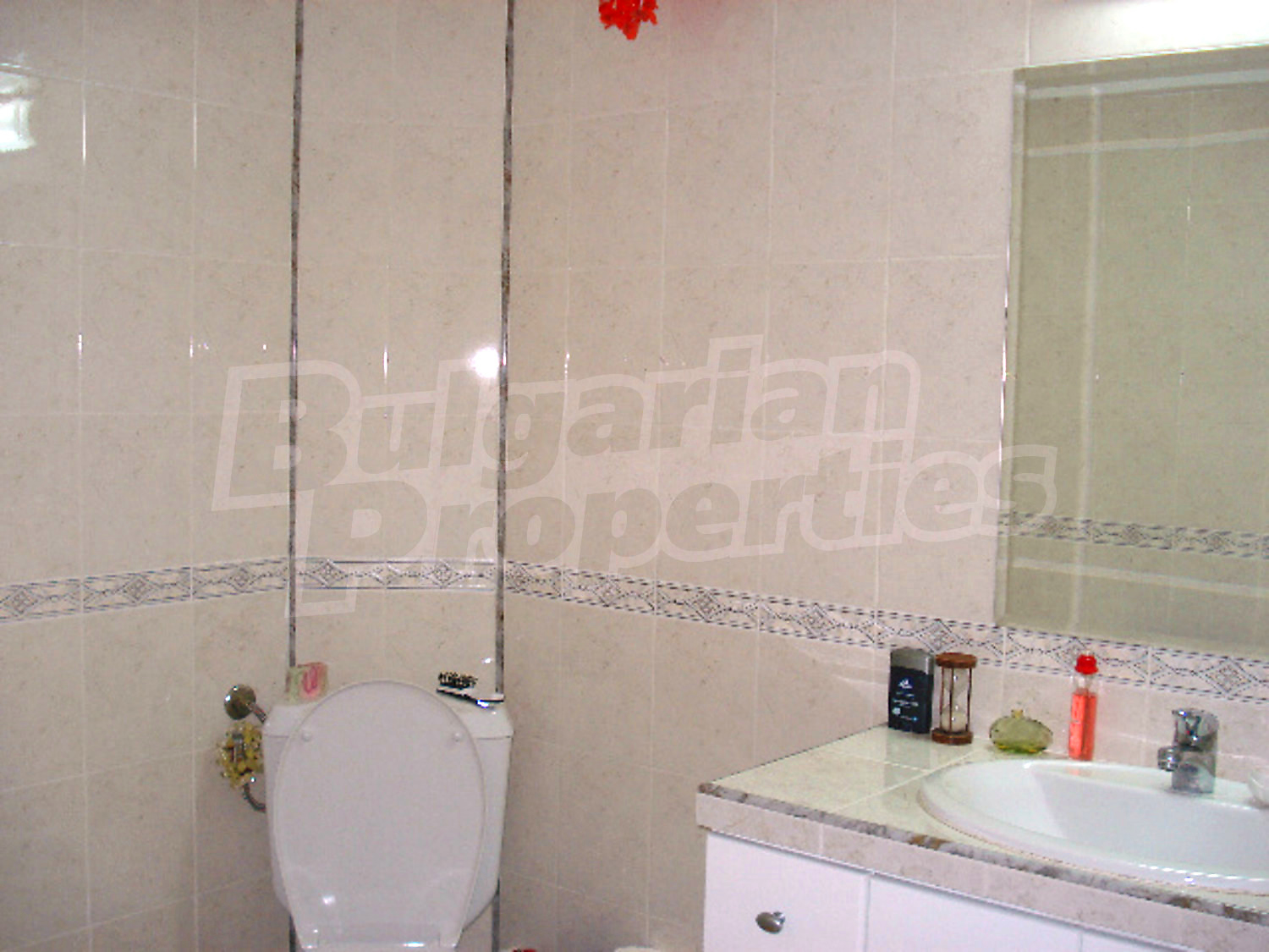 Gallery Picture 26