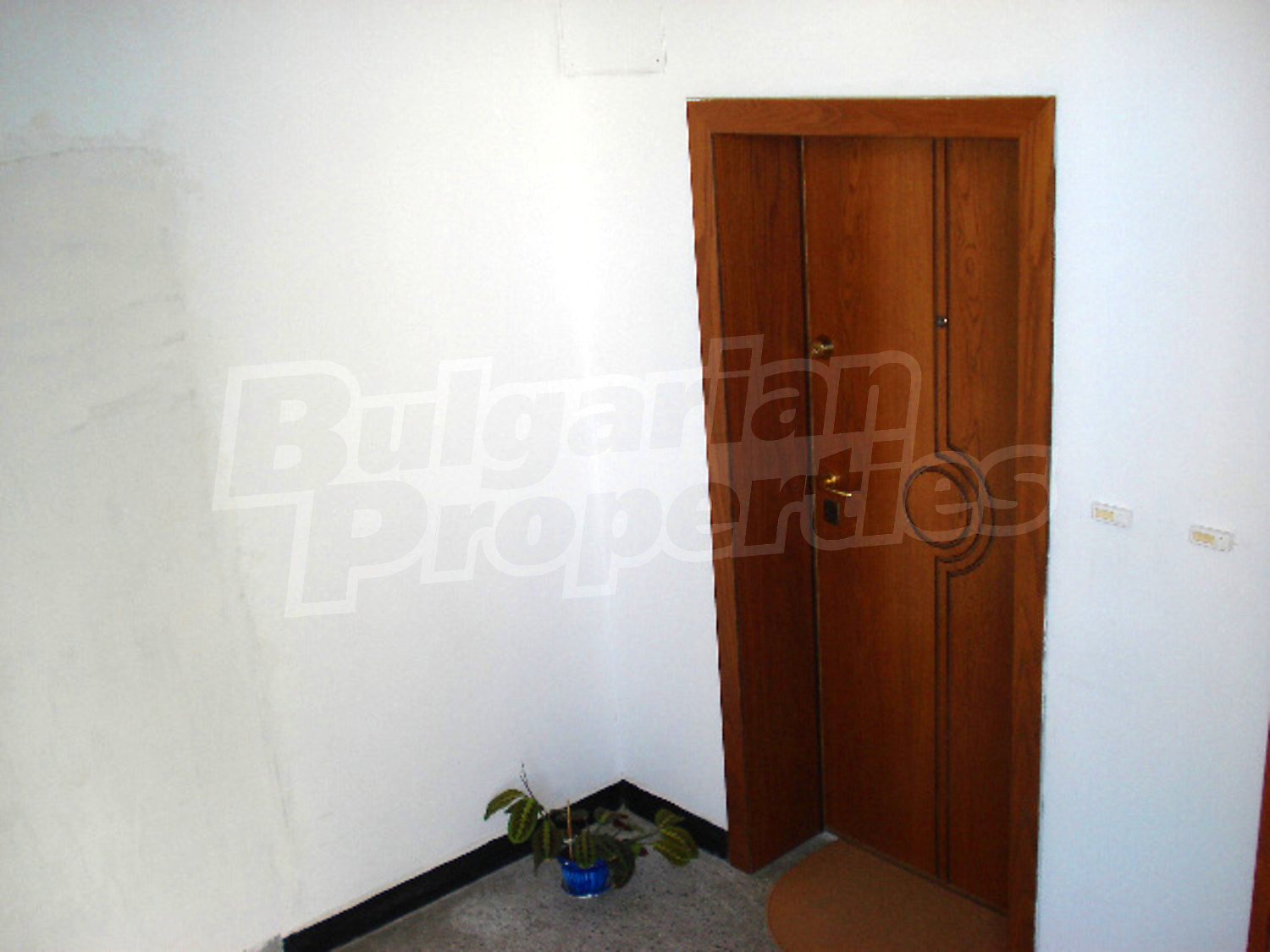 Gallery Picture 3