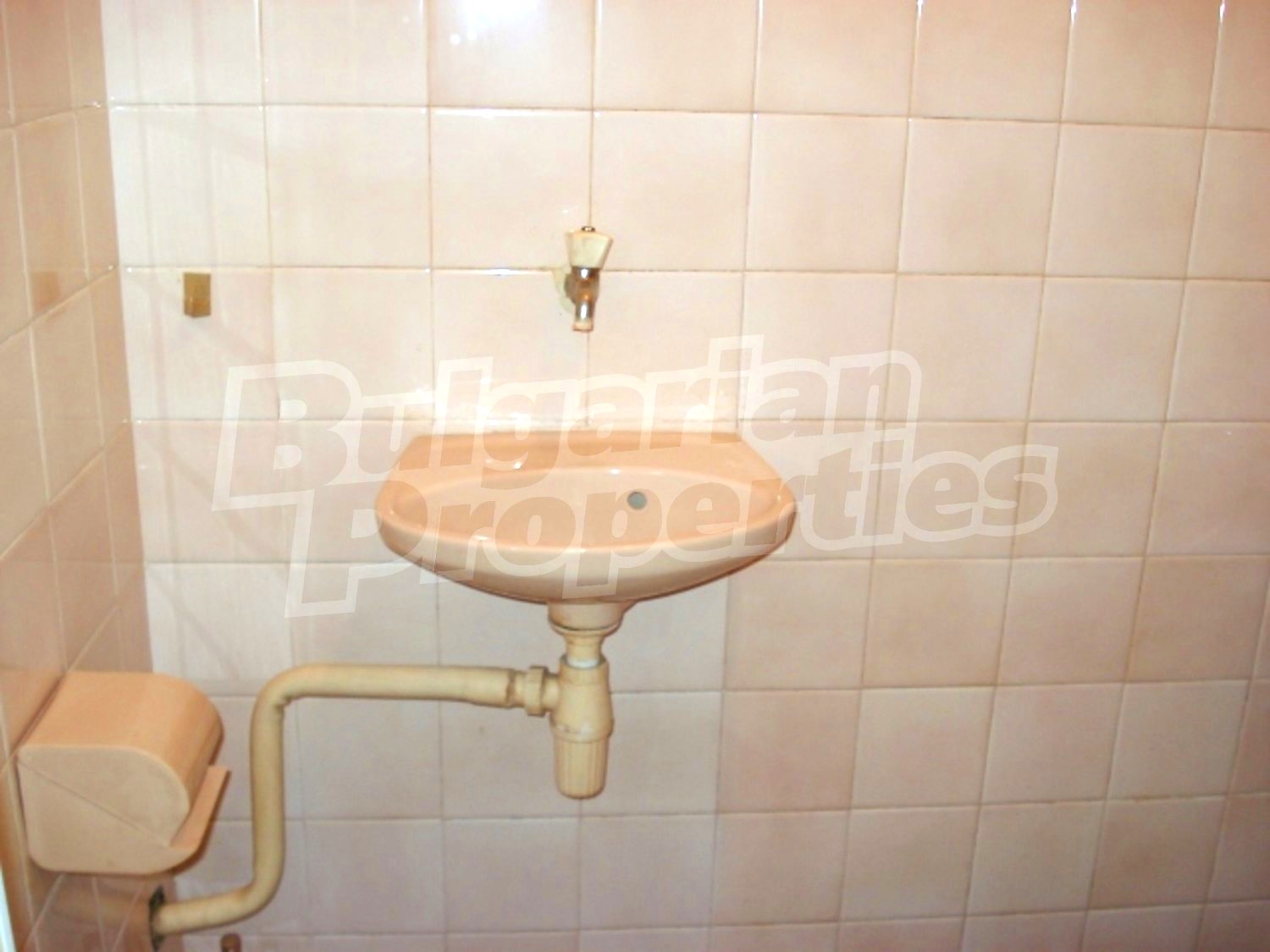 Gallery Picture 22
