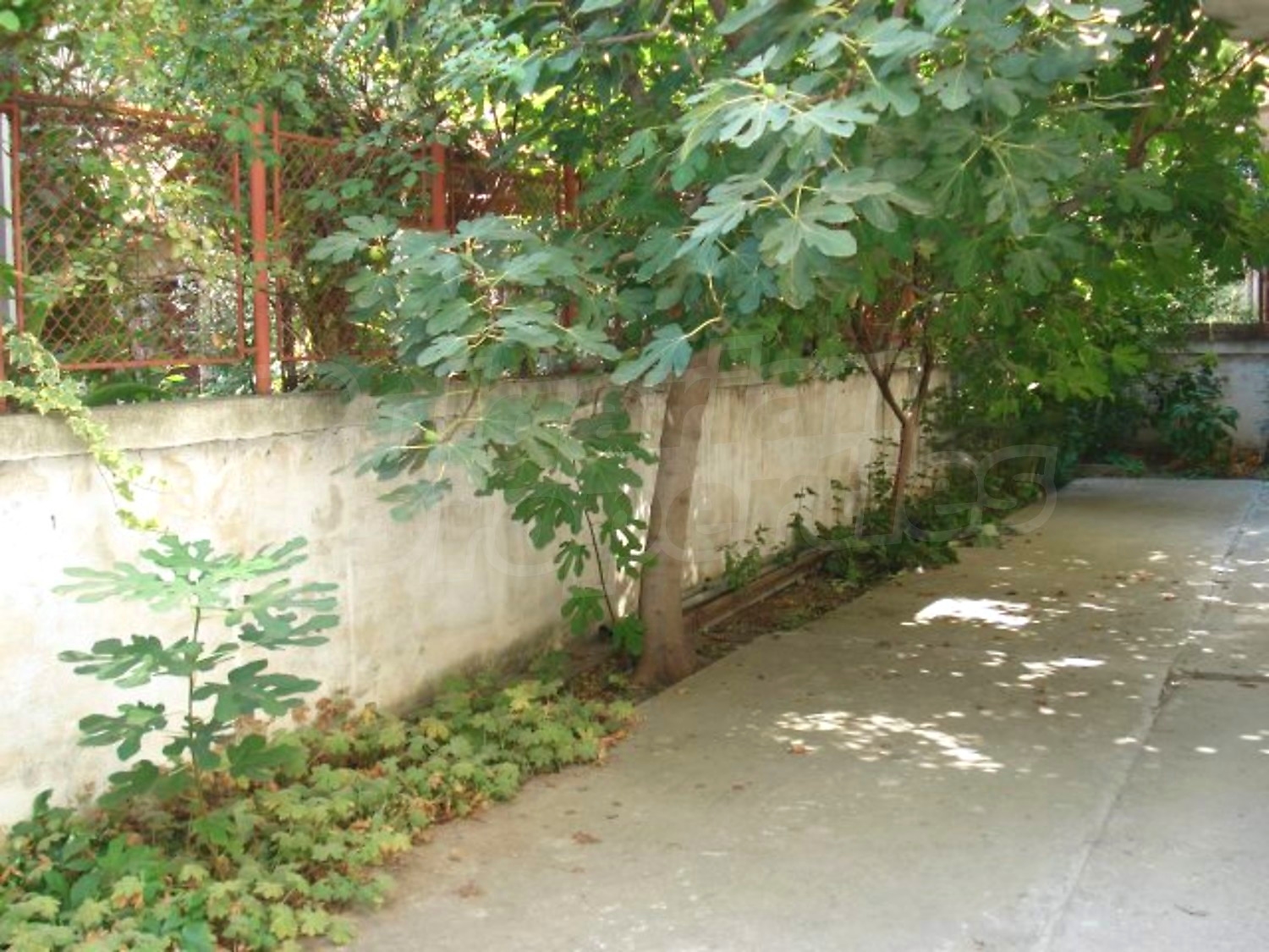Gallery Picture 26