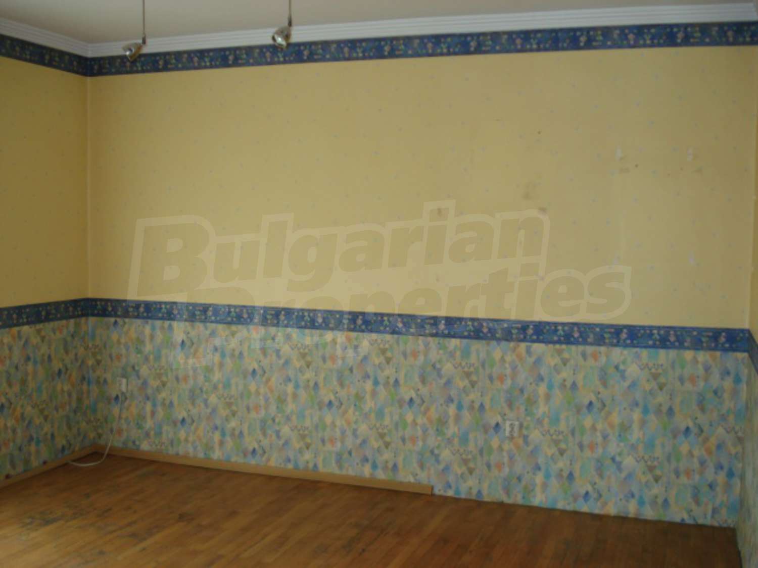 Gallery Picture 11