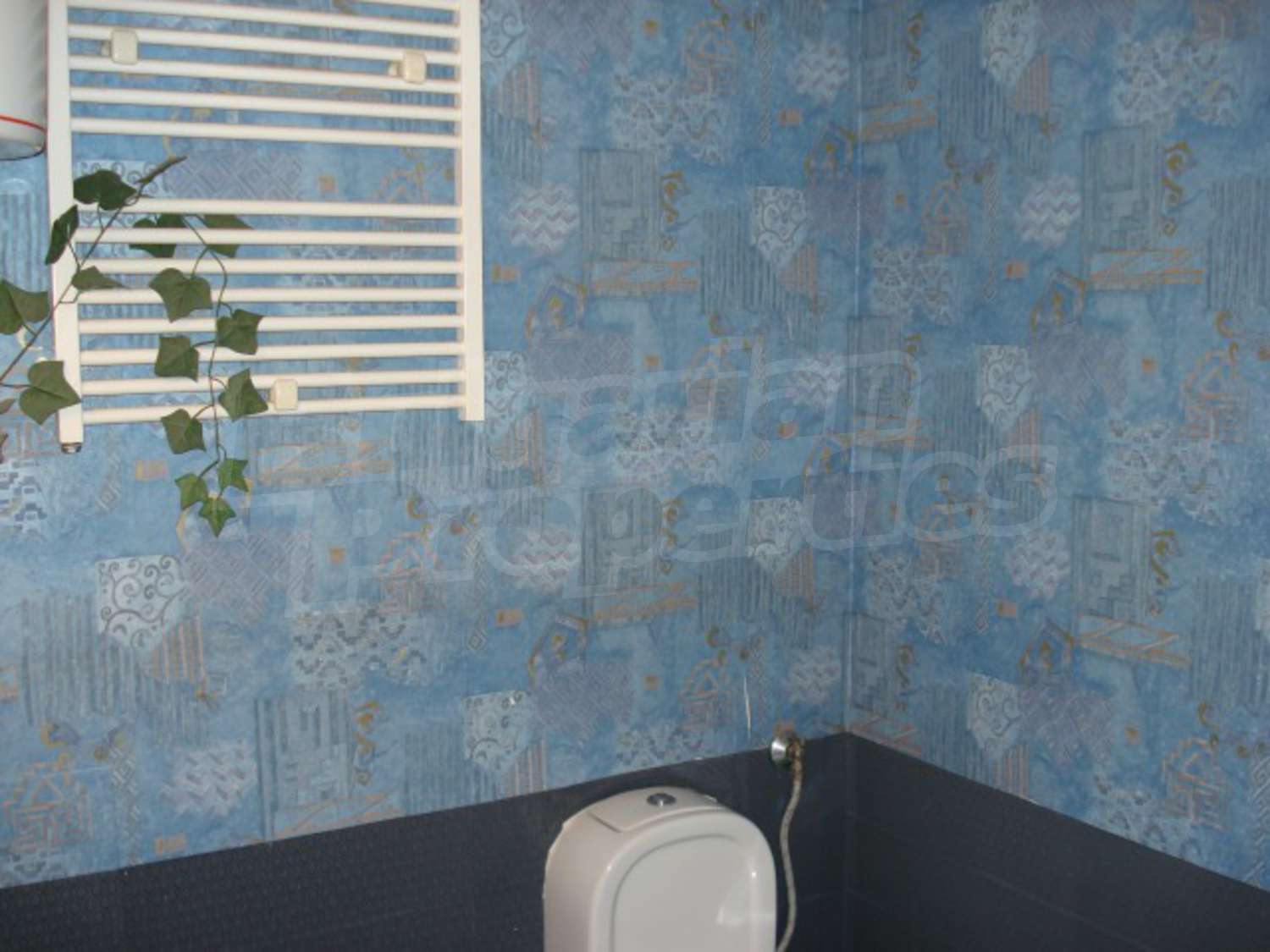 Gallery Picture 9
