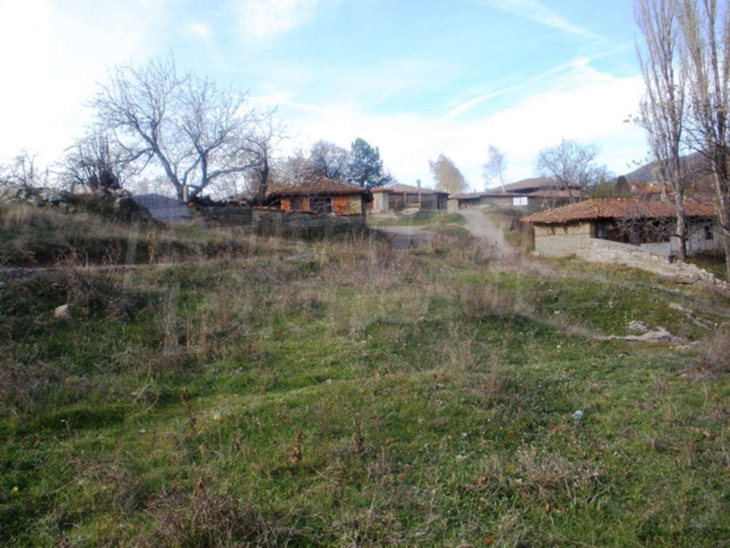 Gallery Picture 3