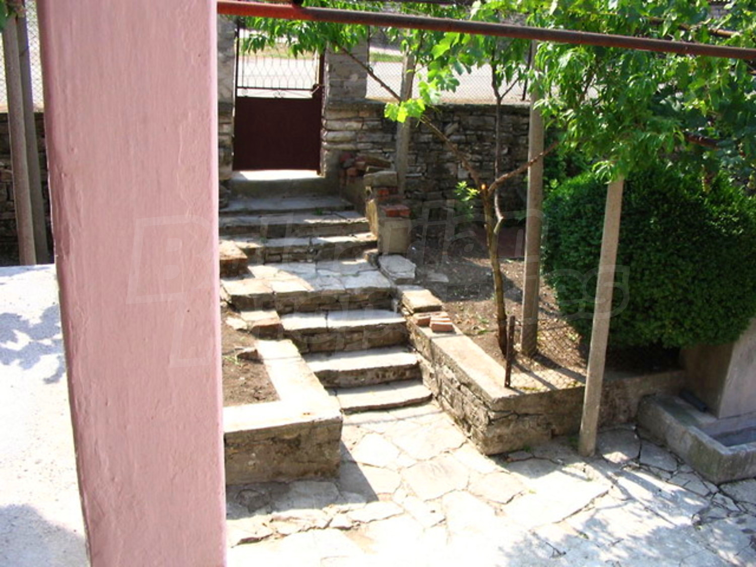 Gallery Picture 11