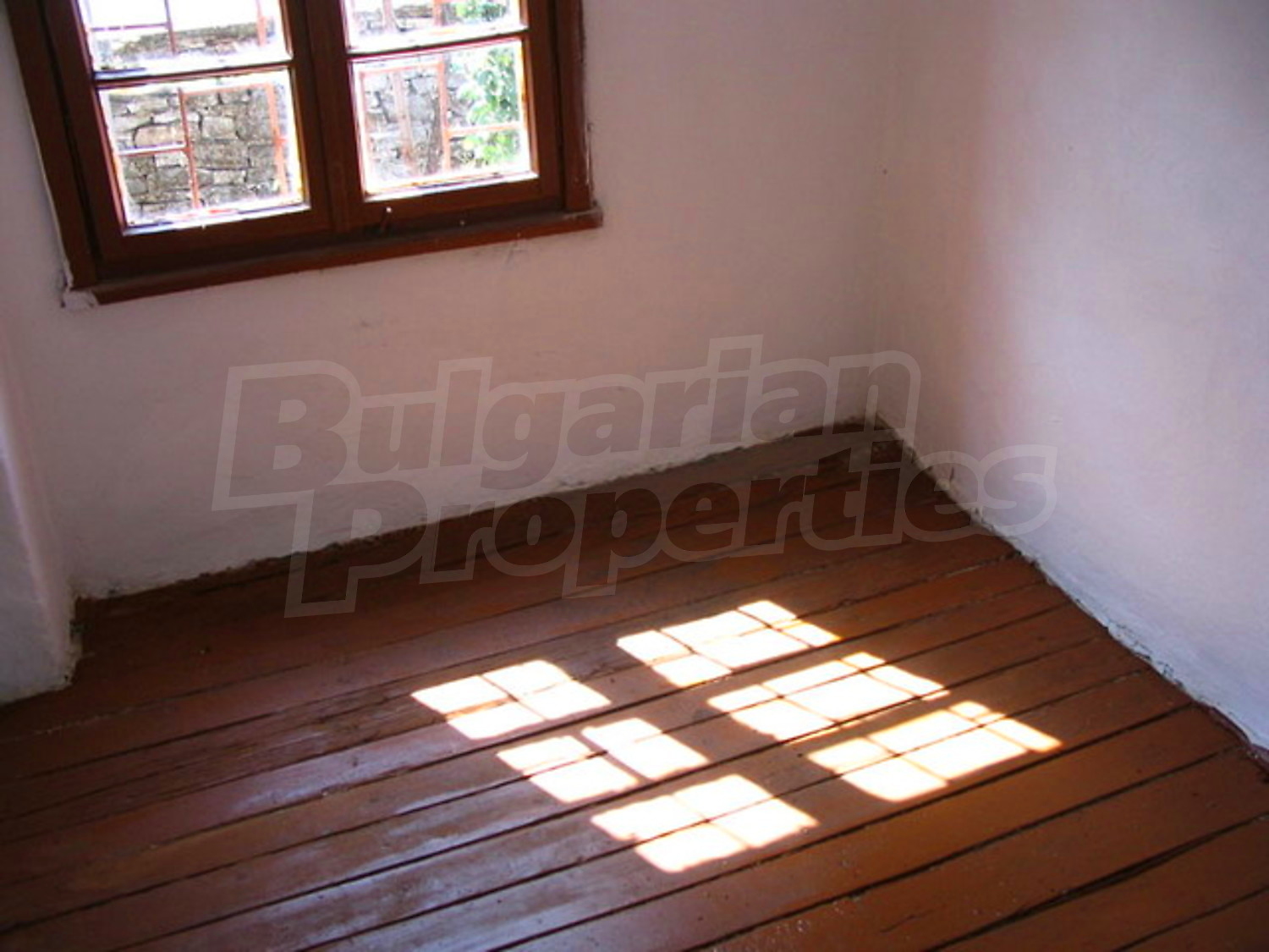 Gallery Picture 12