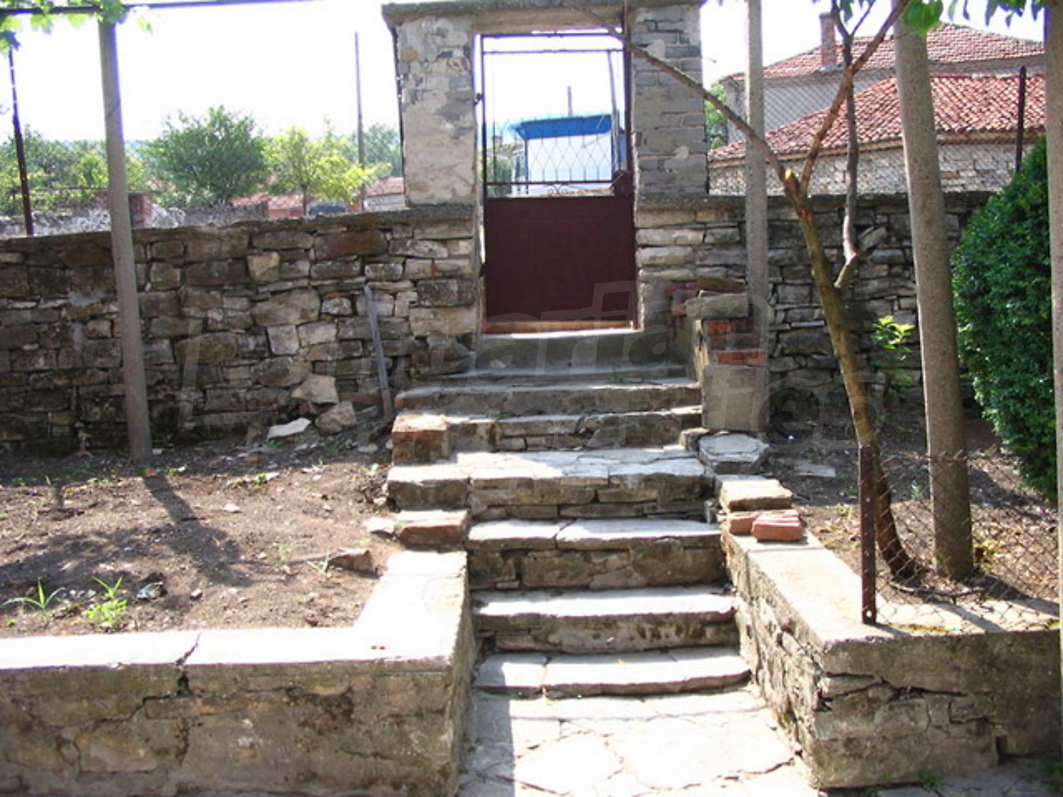 Gallery Picture 15