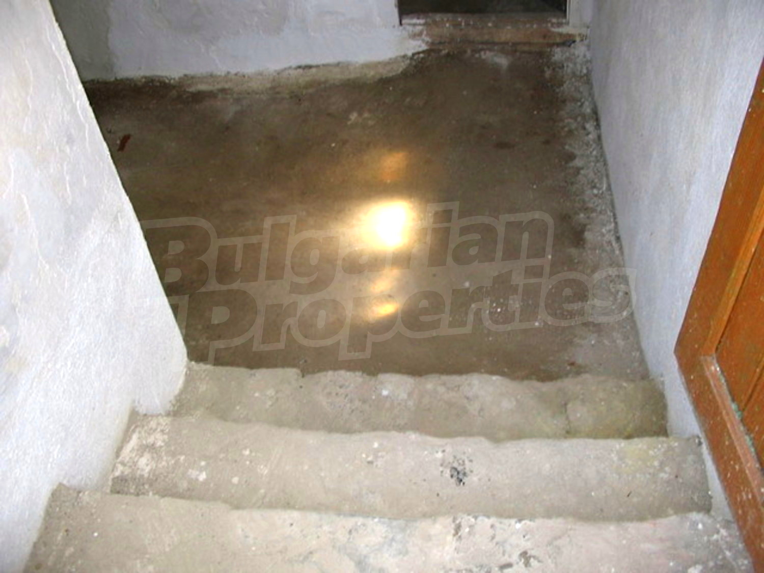 Gallery Picture 18