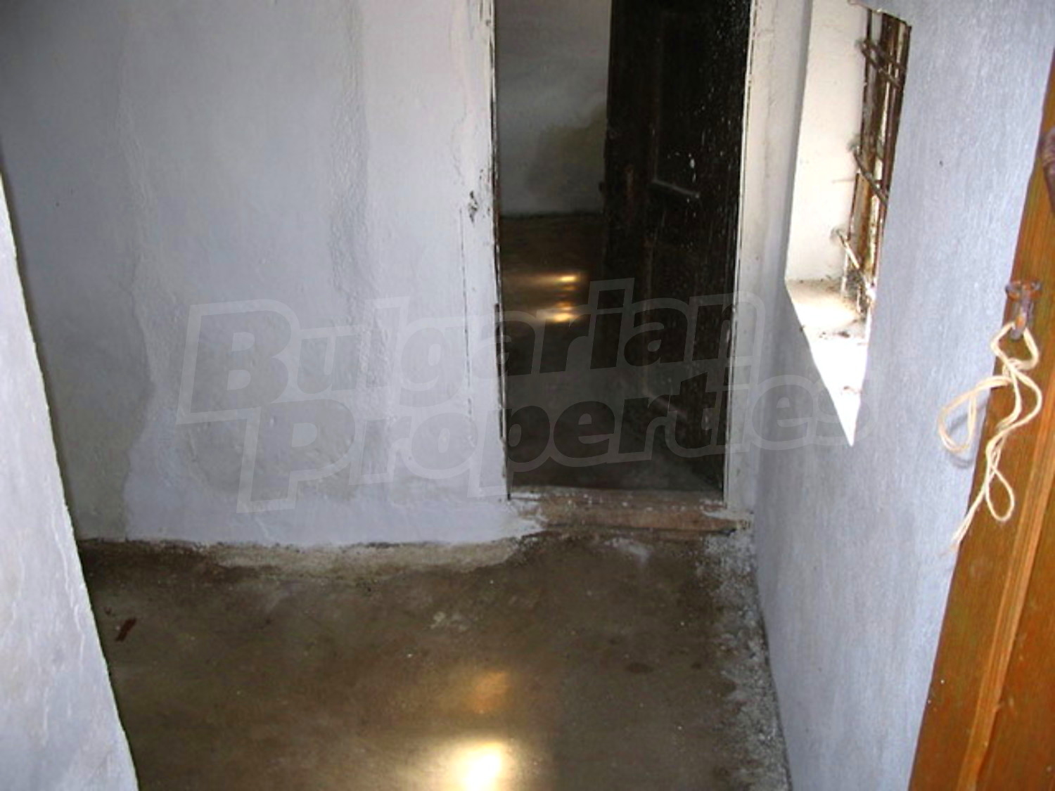 Gallery Picture 19