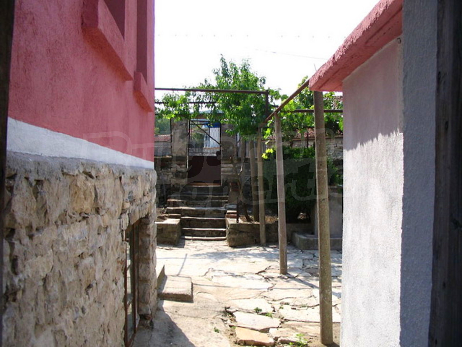 Gallery Picture 27