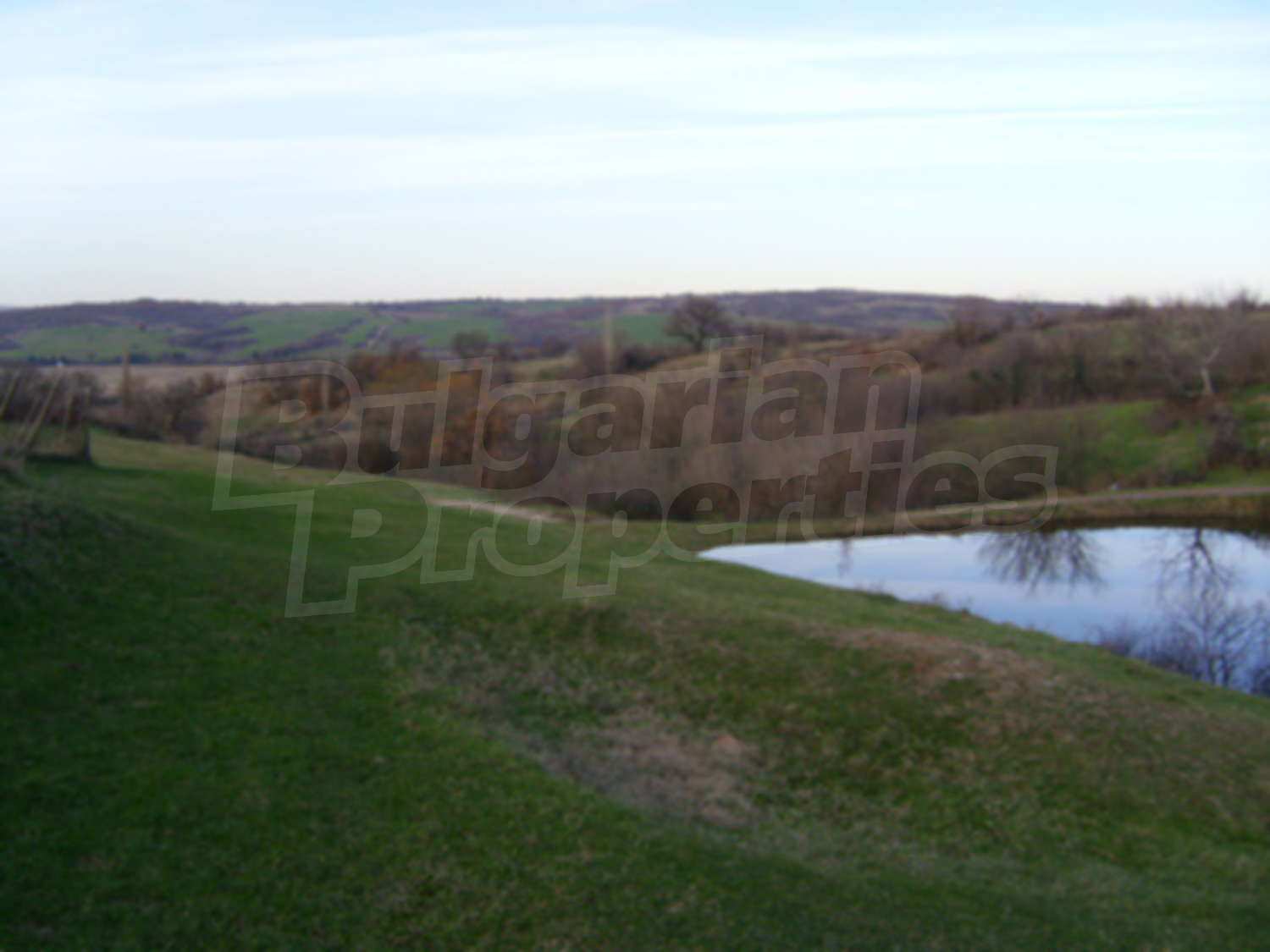Gallery Picture 9