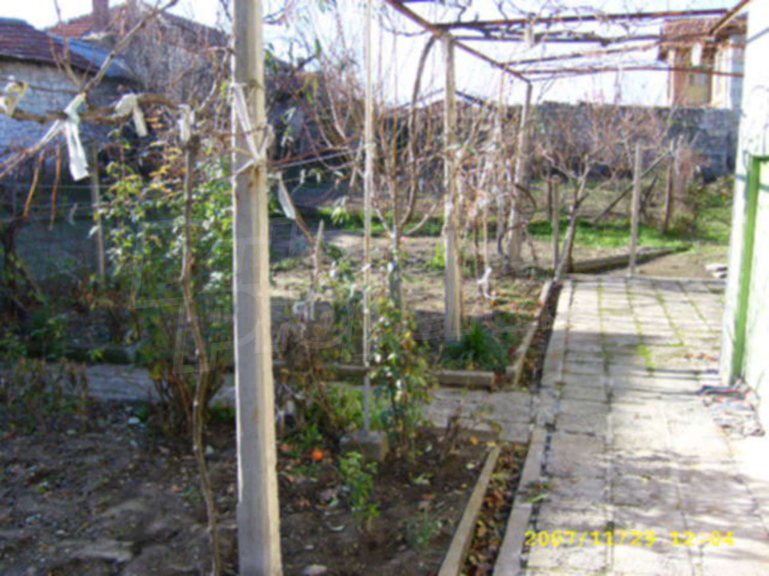 Gallery Picture 7