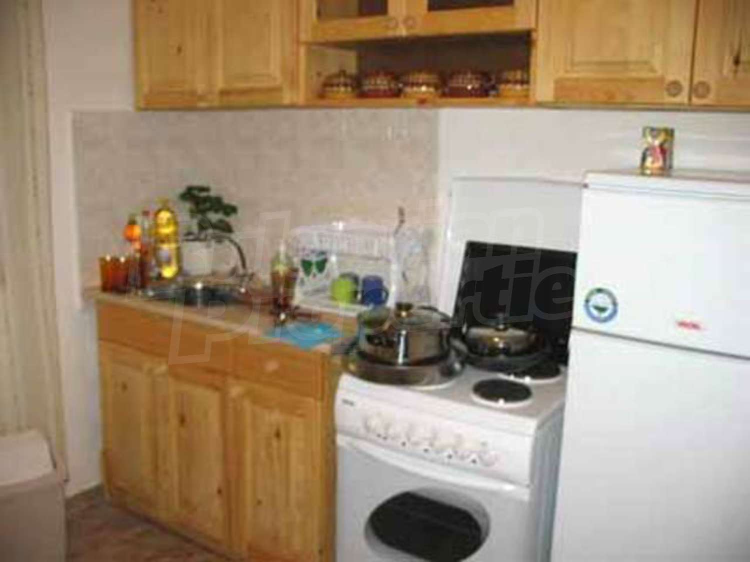 Gallery Picture 12