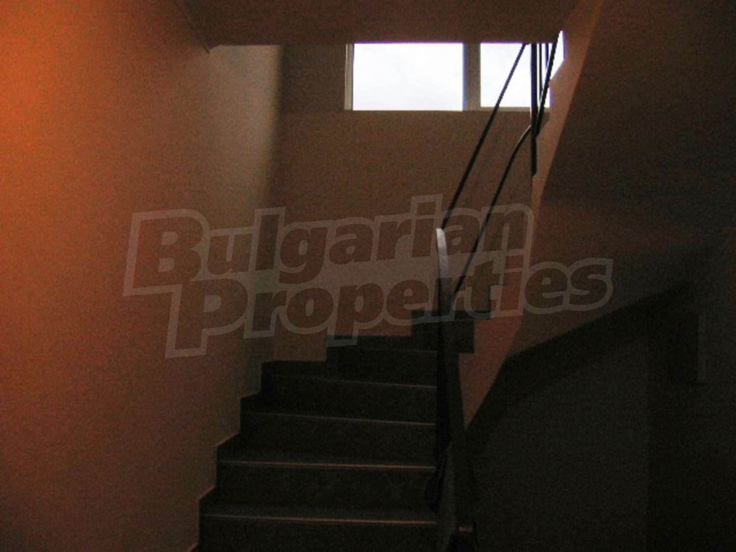 Gallery Picture 11