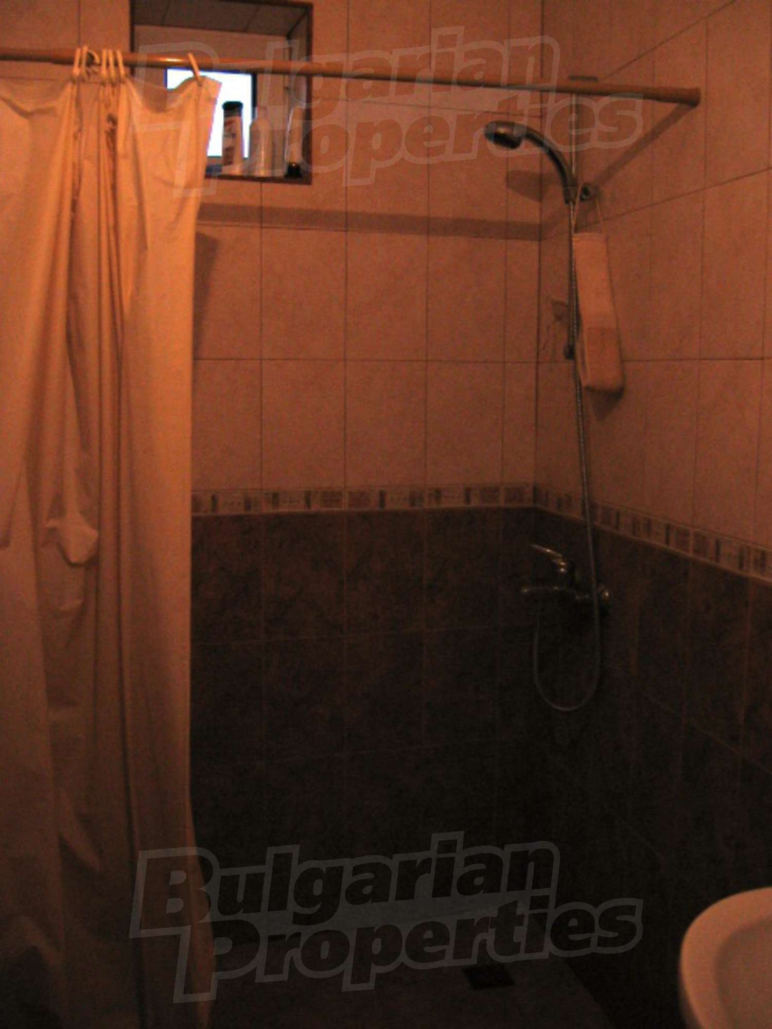 Gallery Picture 21