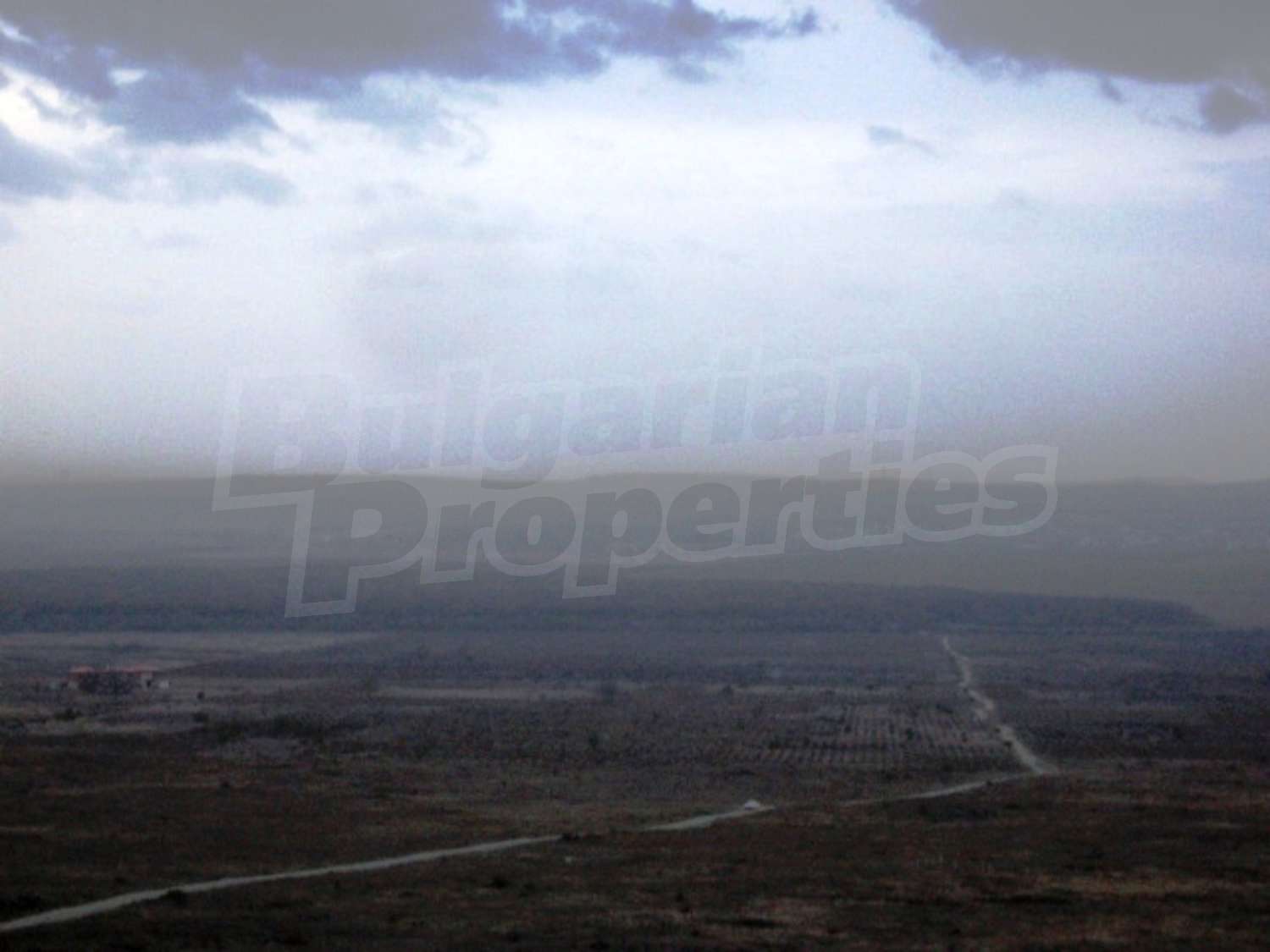 Gallery Picture 23