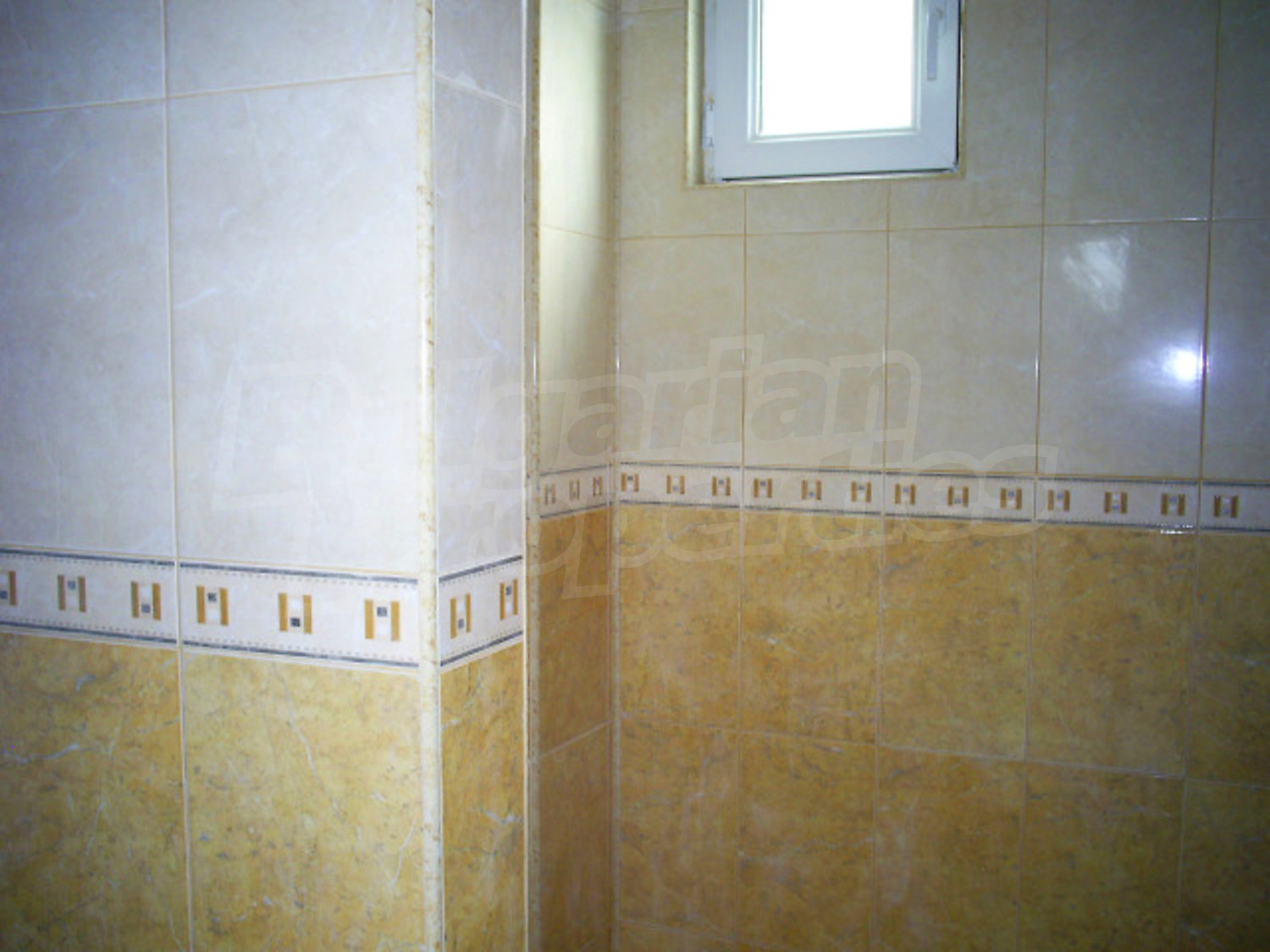 Gallery Picture 10