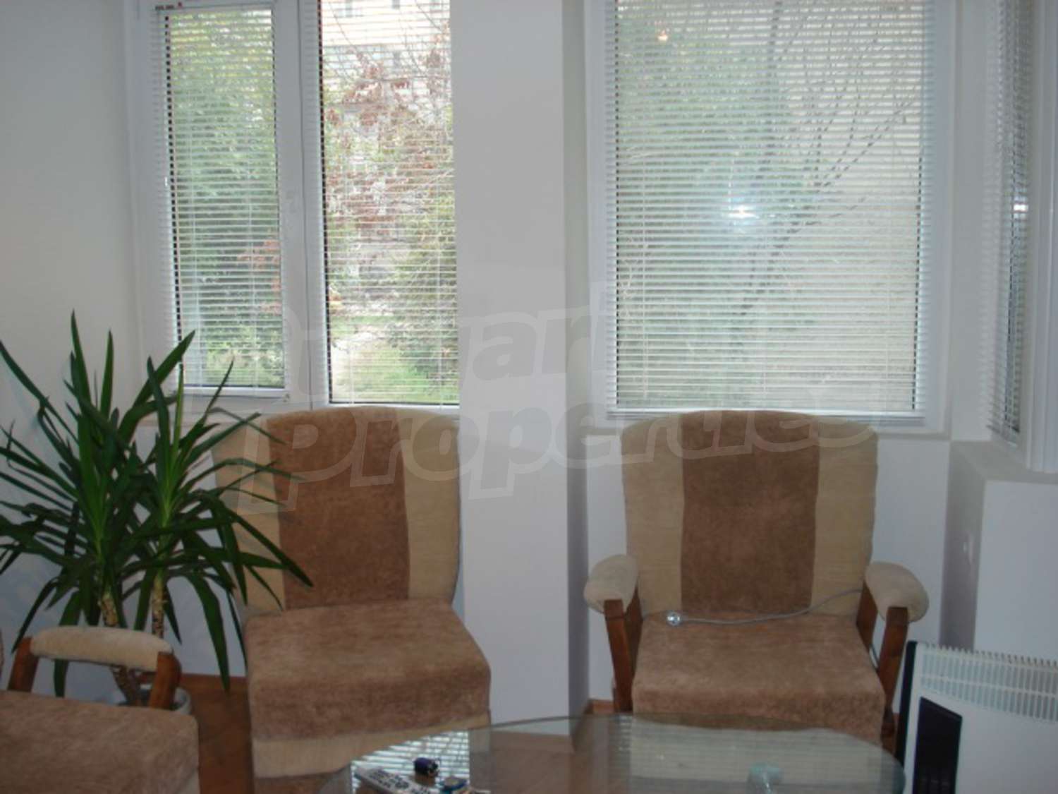 Gallery Picture 10
