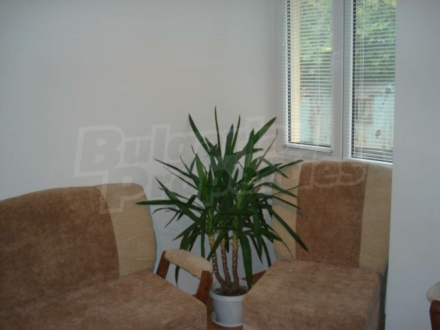 Gallery Picture 11