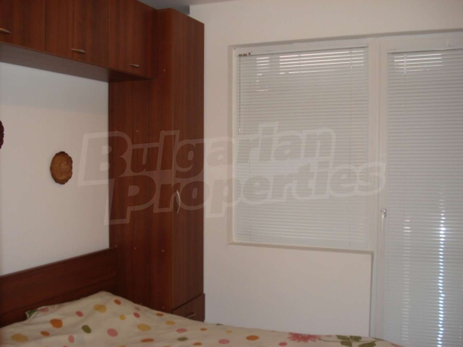 Gallery Picture 14