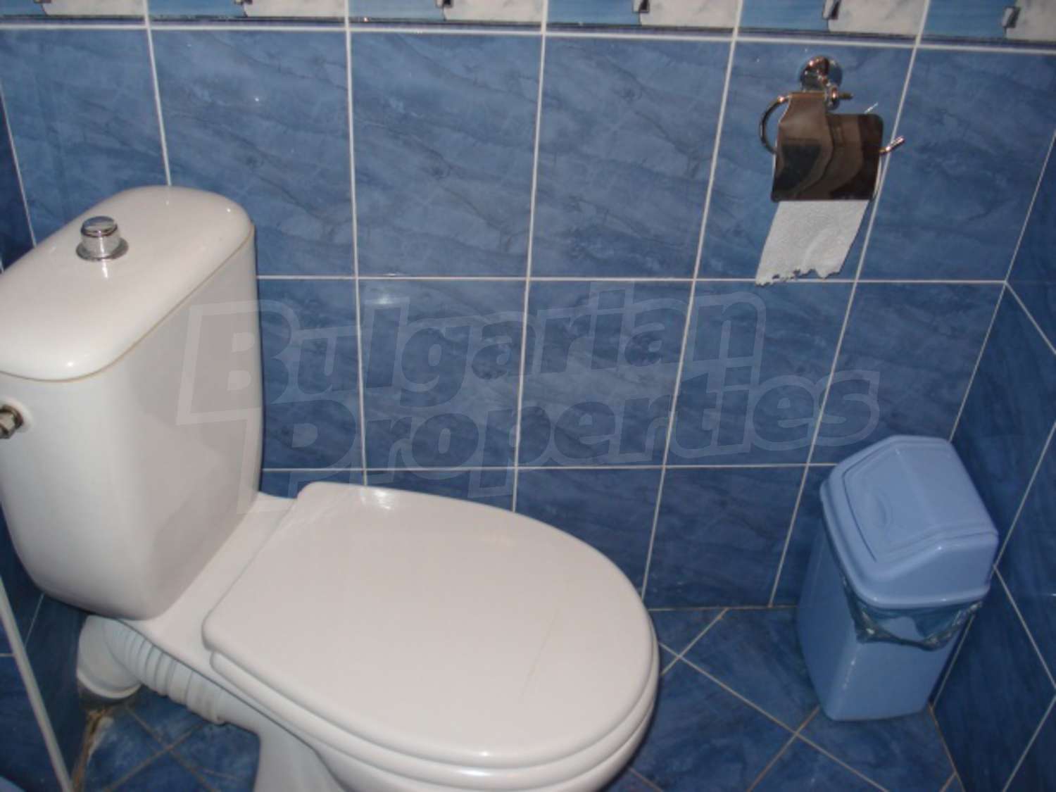 Gallery Picture 19