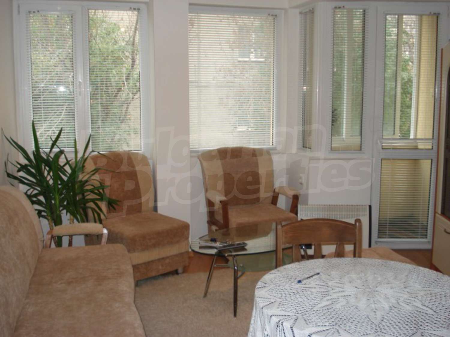 Gallery Picture 7