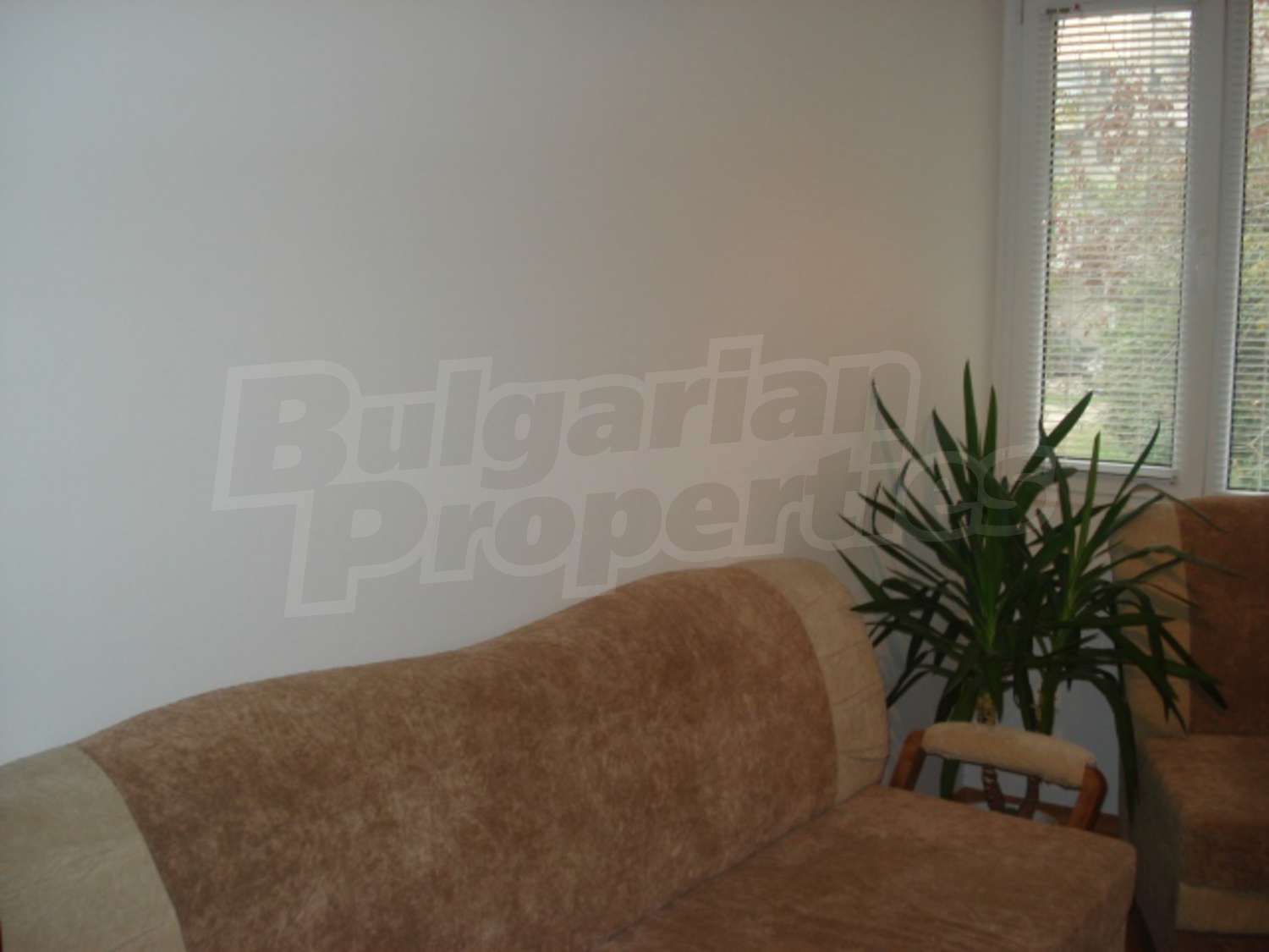 Gallery Picture 9