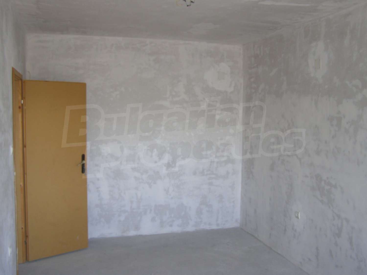 Gallery Picture 12