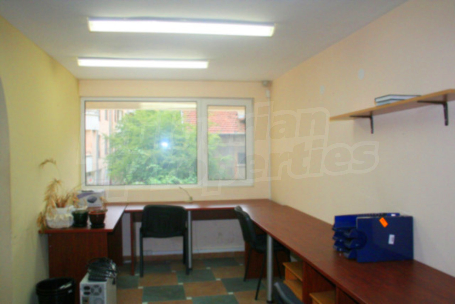 Gallery Picture 13