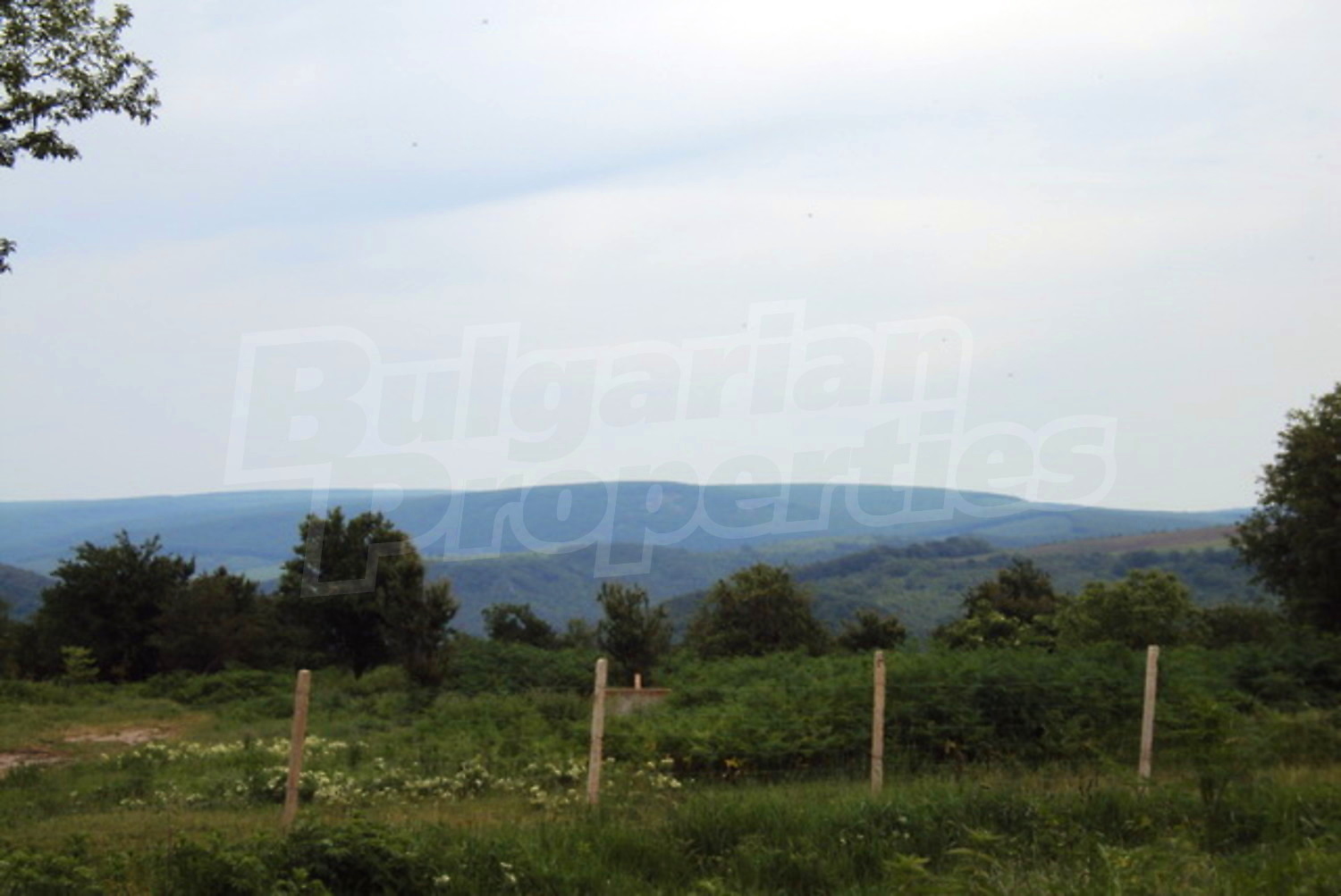 Gallery Picture 16