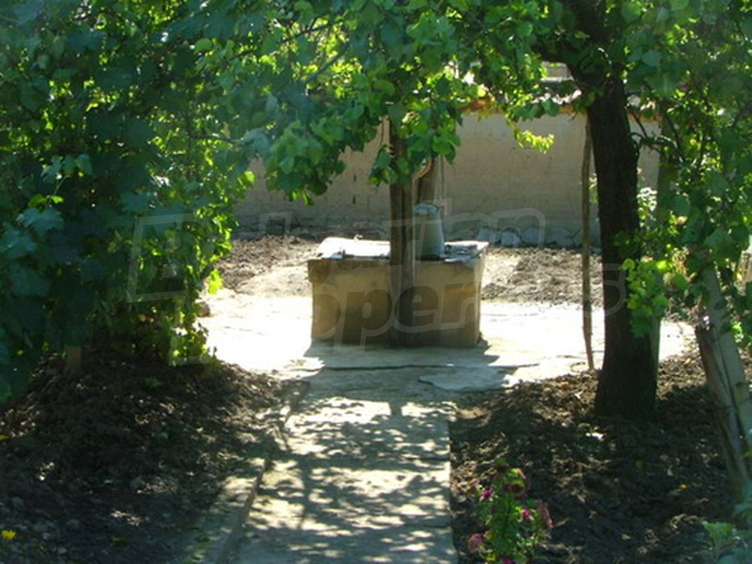 Gallery Picture 13