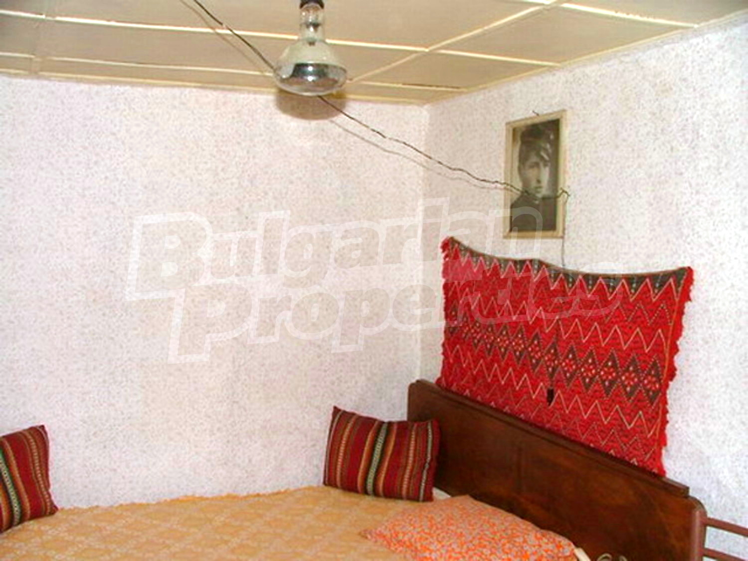 Gallery Picture 5