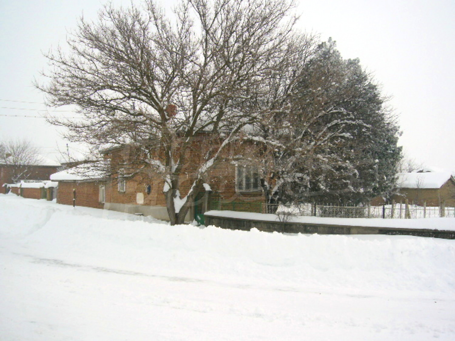 Gallery Picture 10