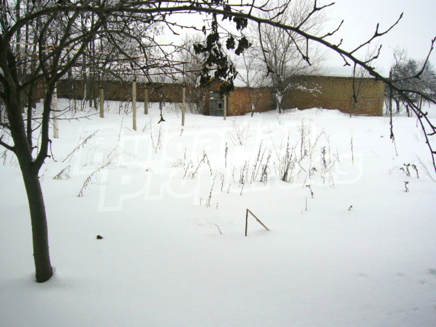 Gallery Picture 13