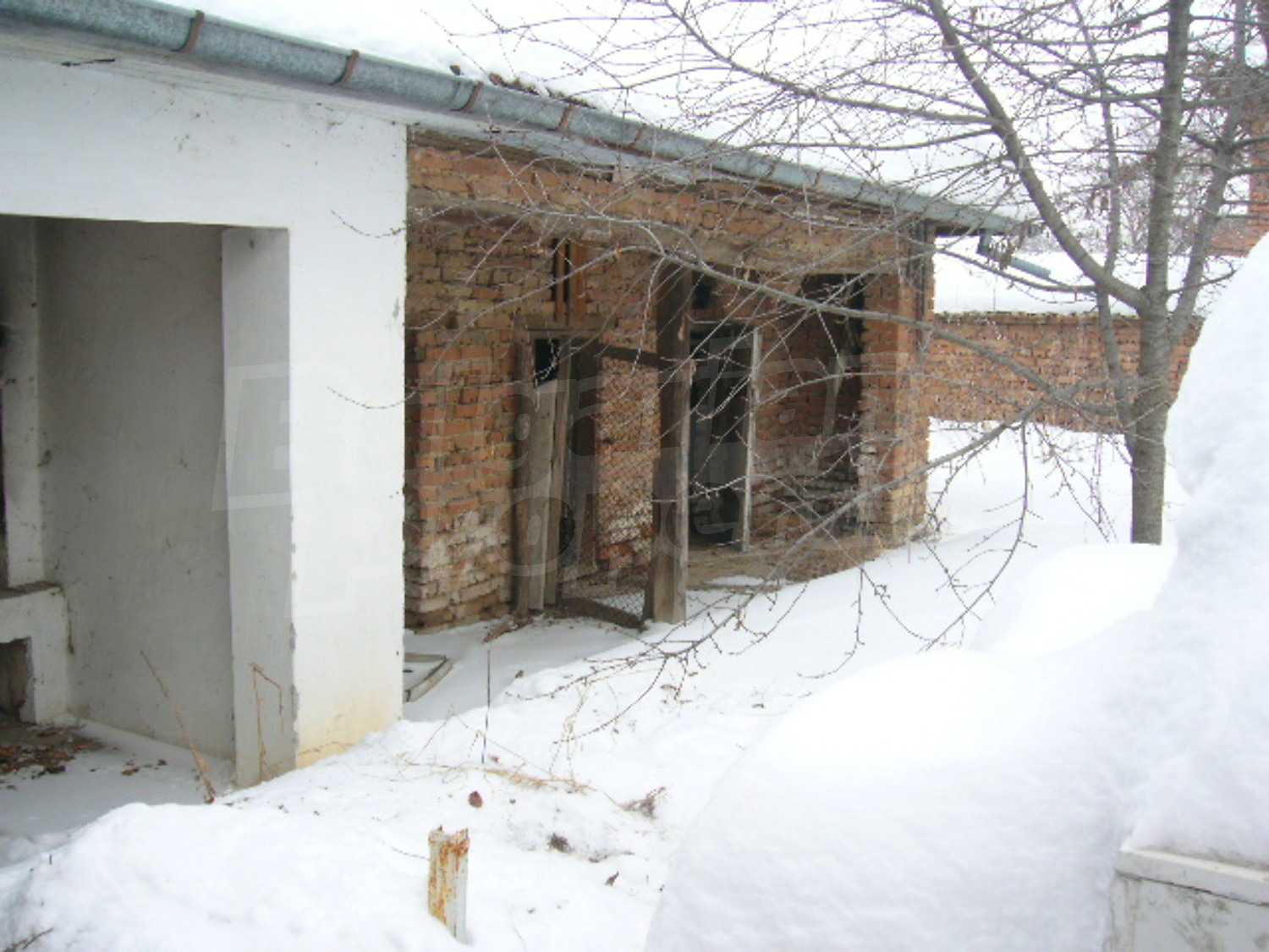 Gallery Picture 14