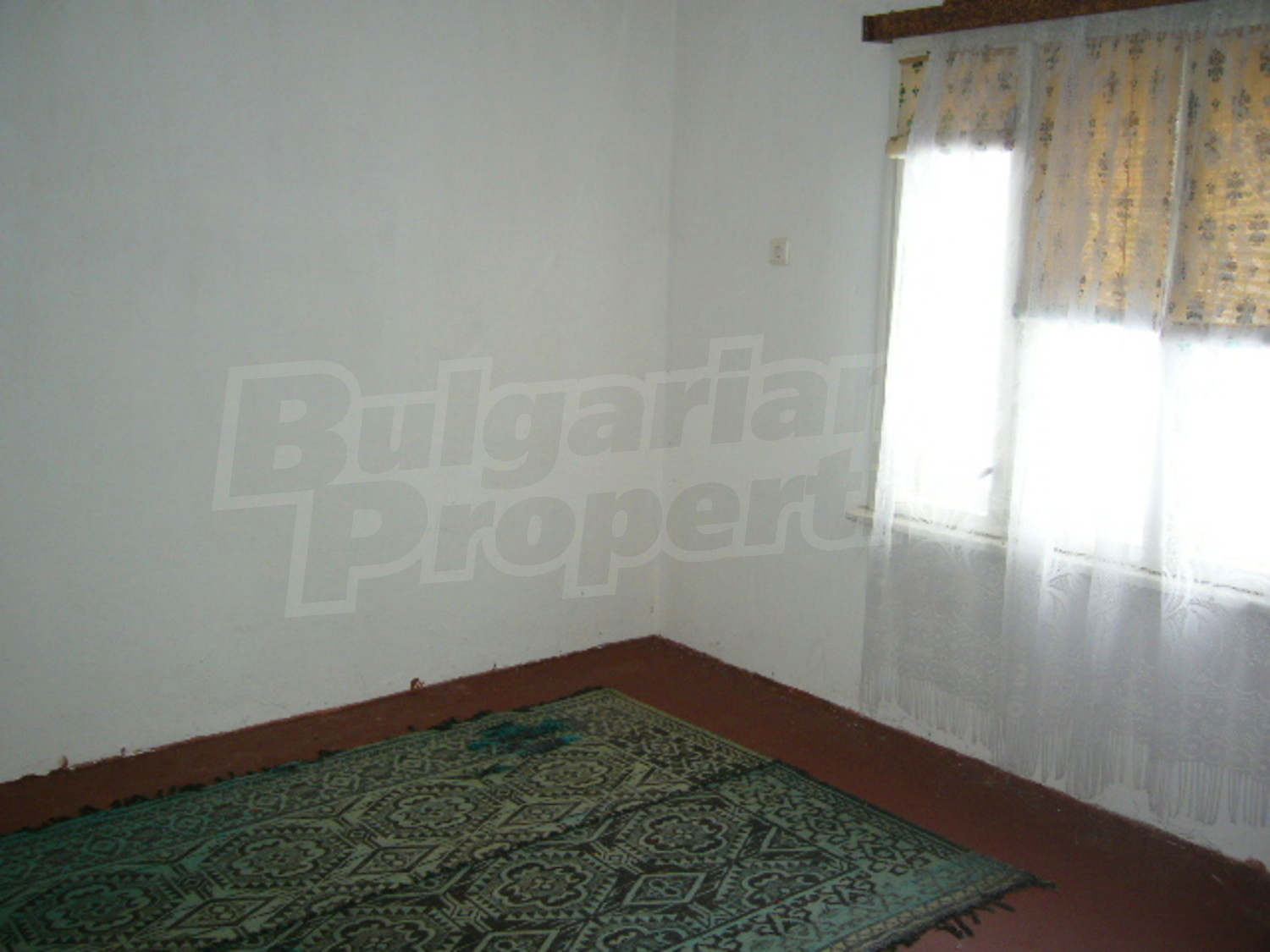 Gallery Picture 22
