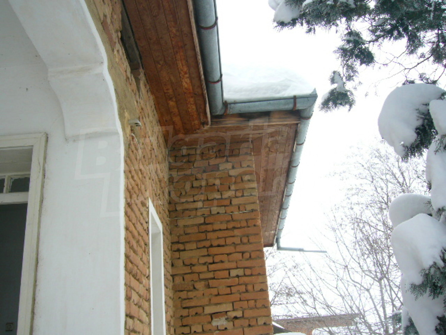 Gallery Picture 26